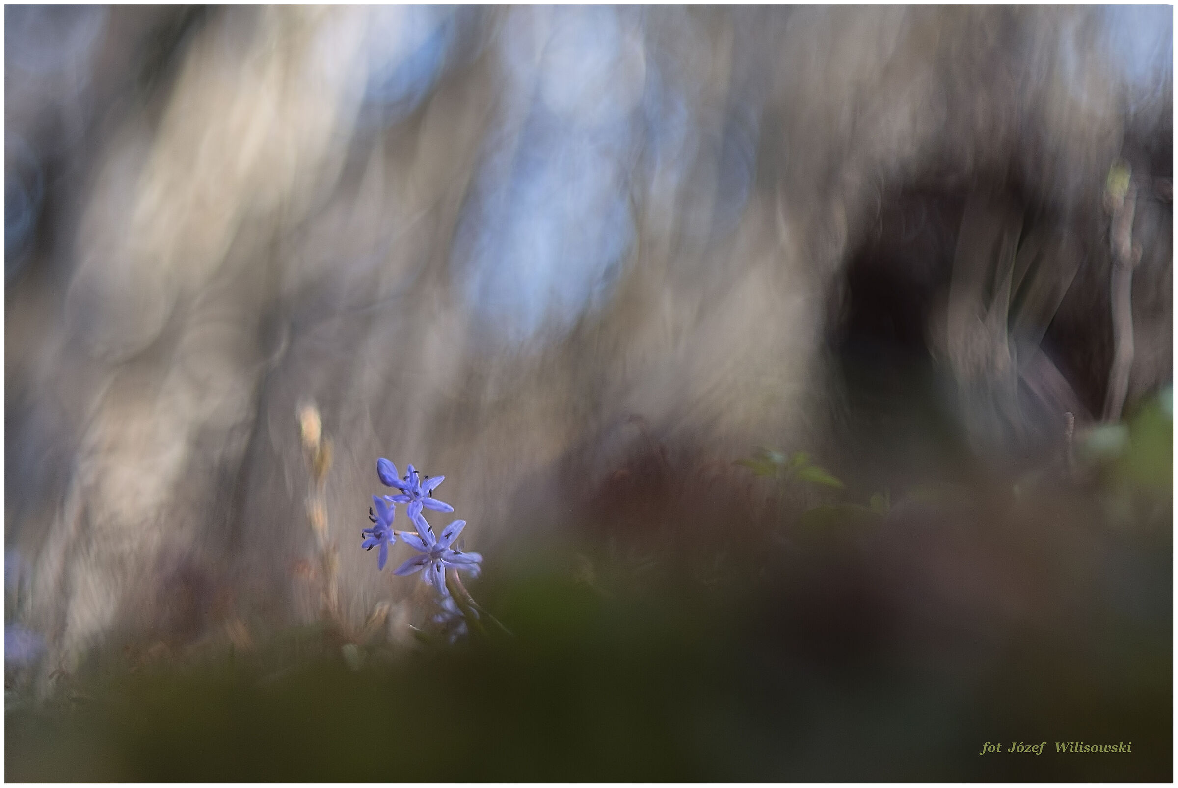 Modified Diaplan 80/2,8