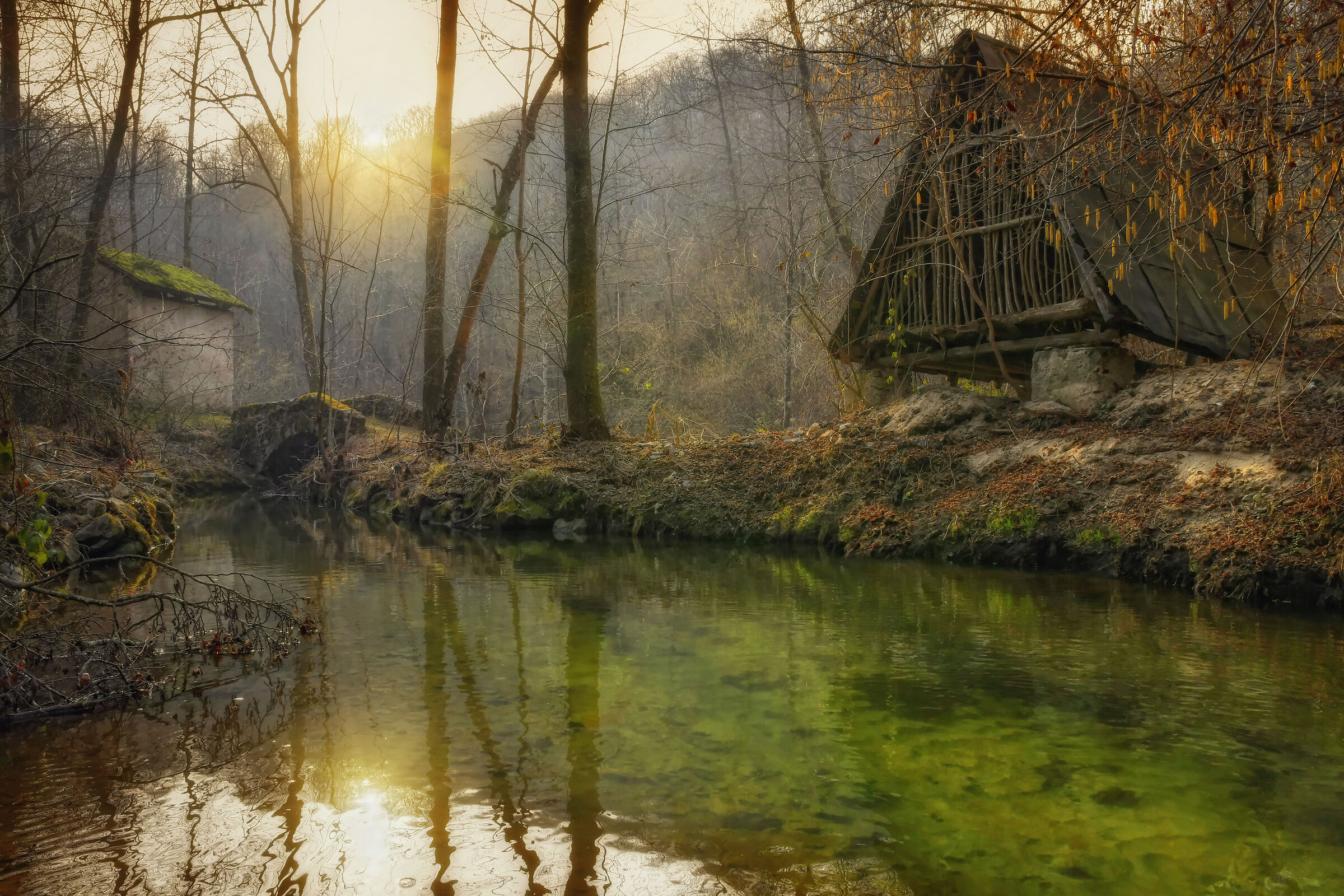 The Taragn del Mulinaccio