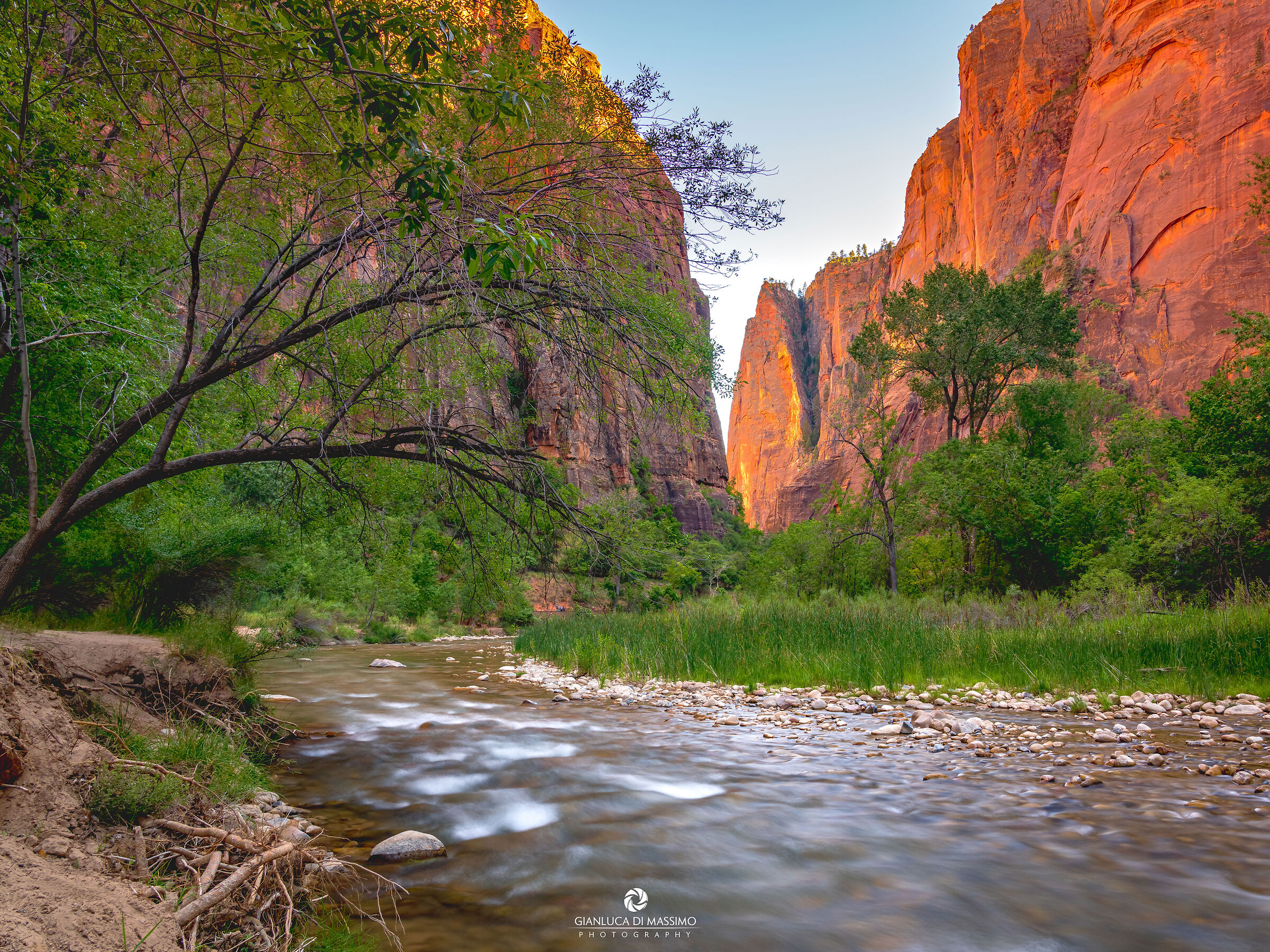 Virgin River, London