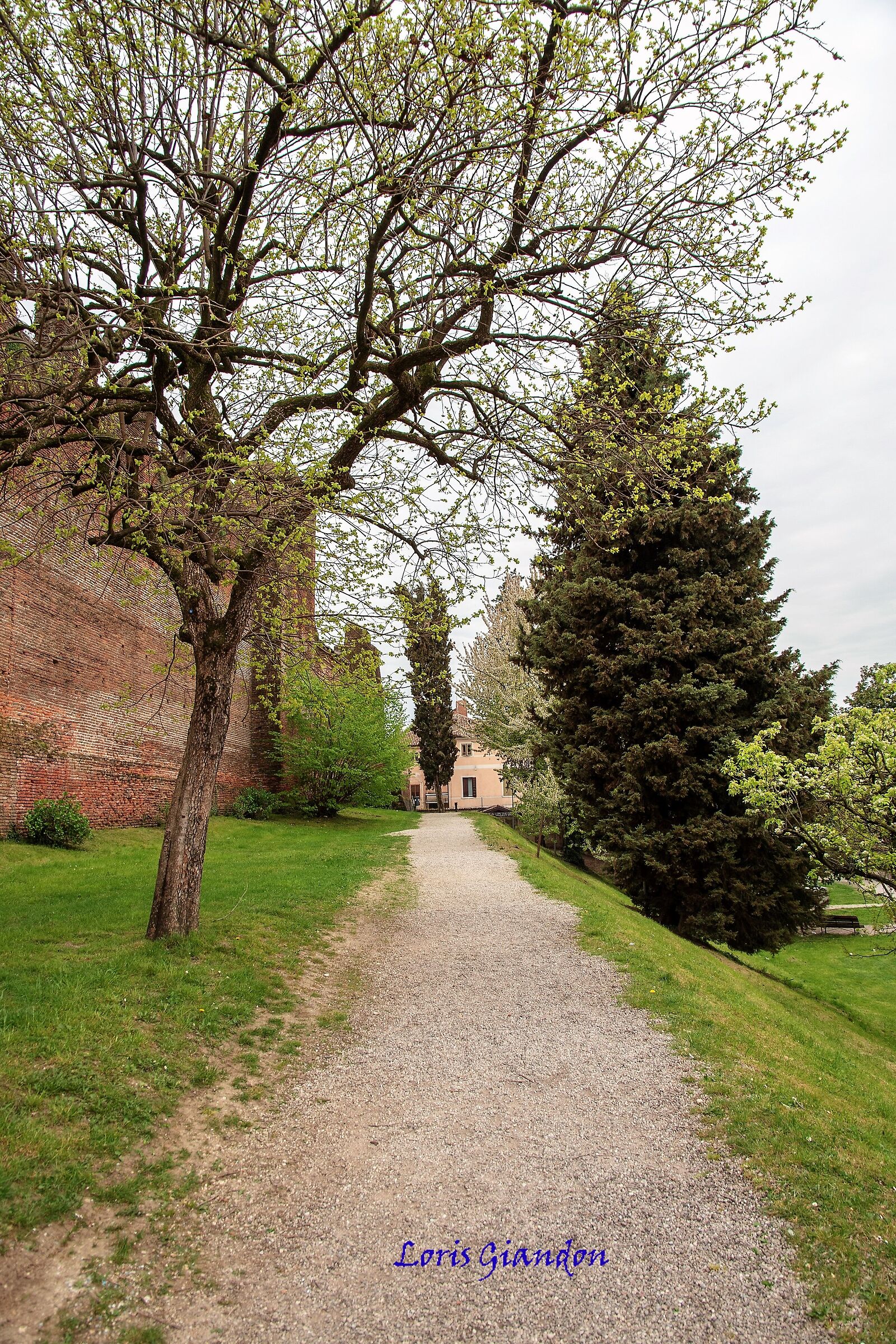 Castelfranco Veneto