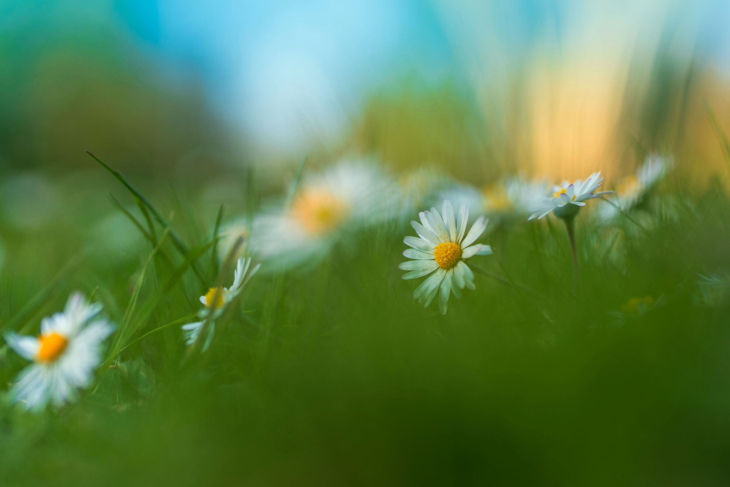 Spring II