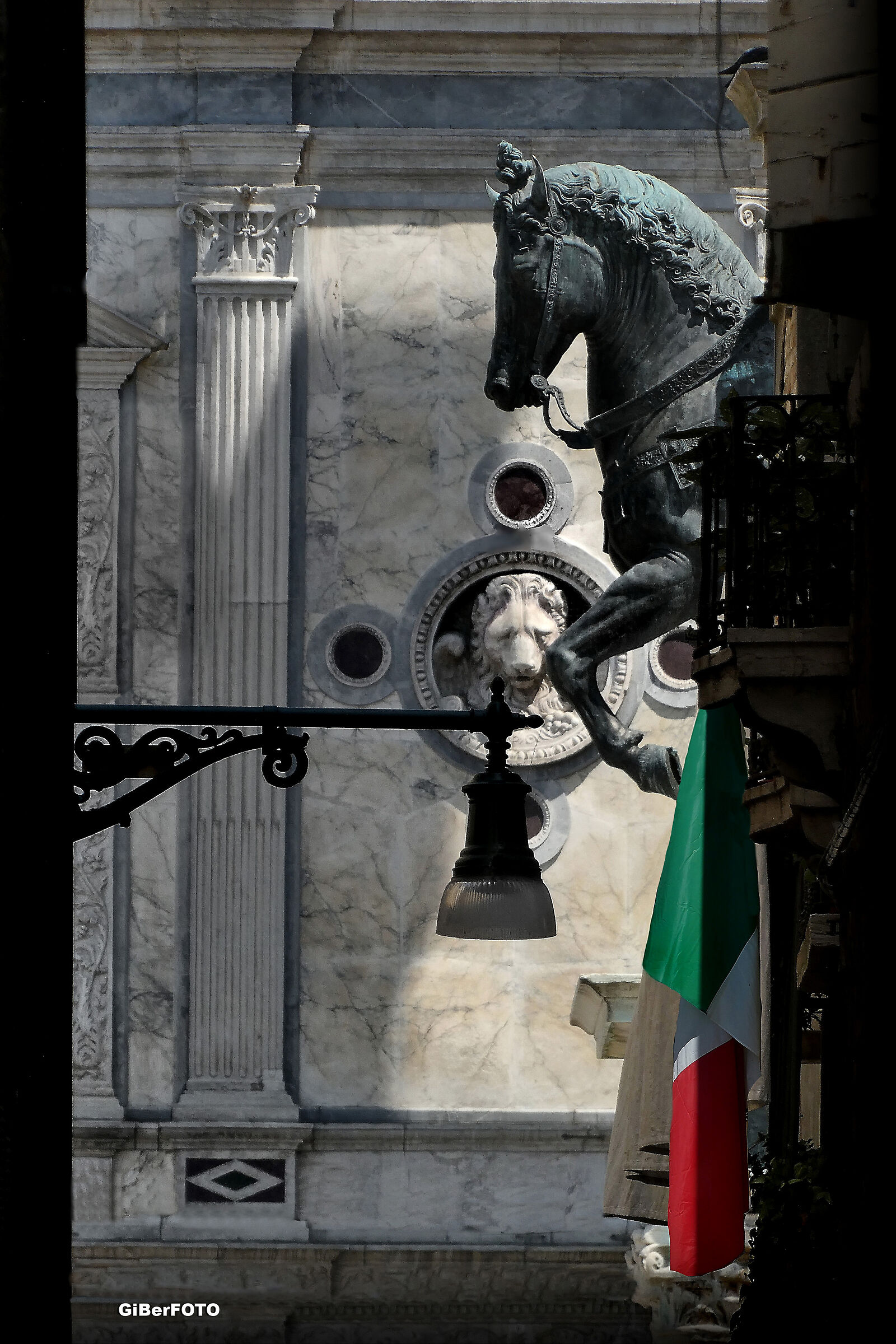 TRICOLOR..." Equestrian!" (Venice)