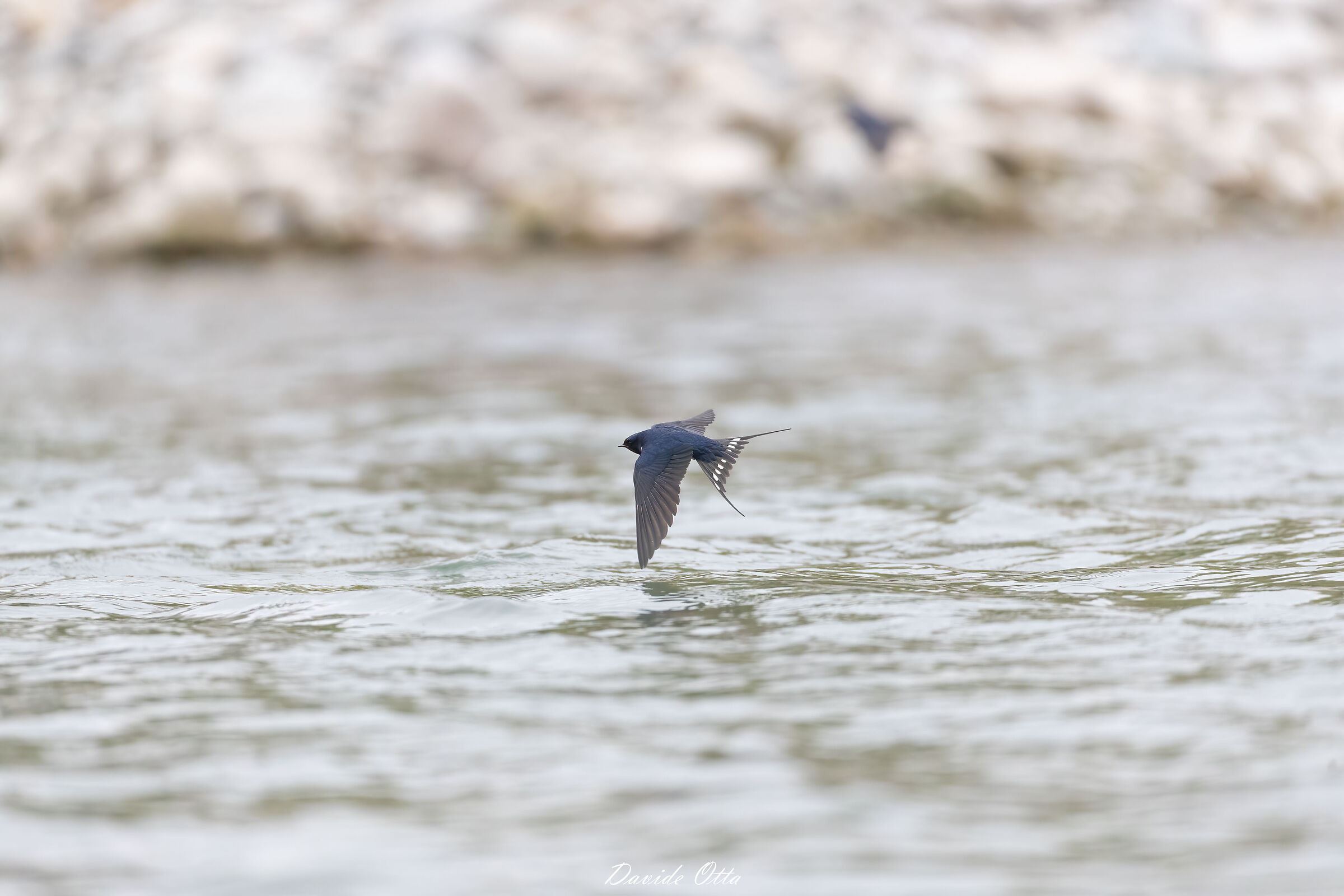 Volo radente