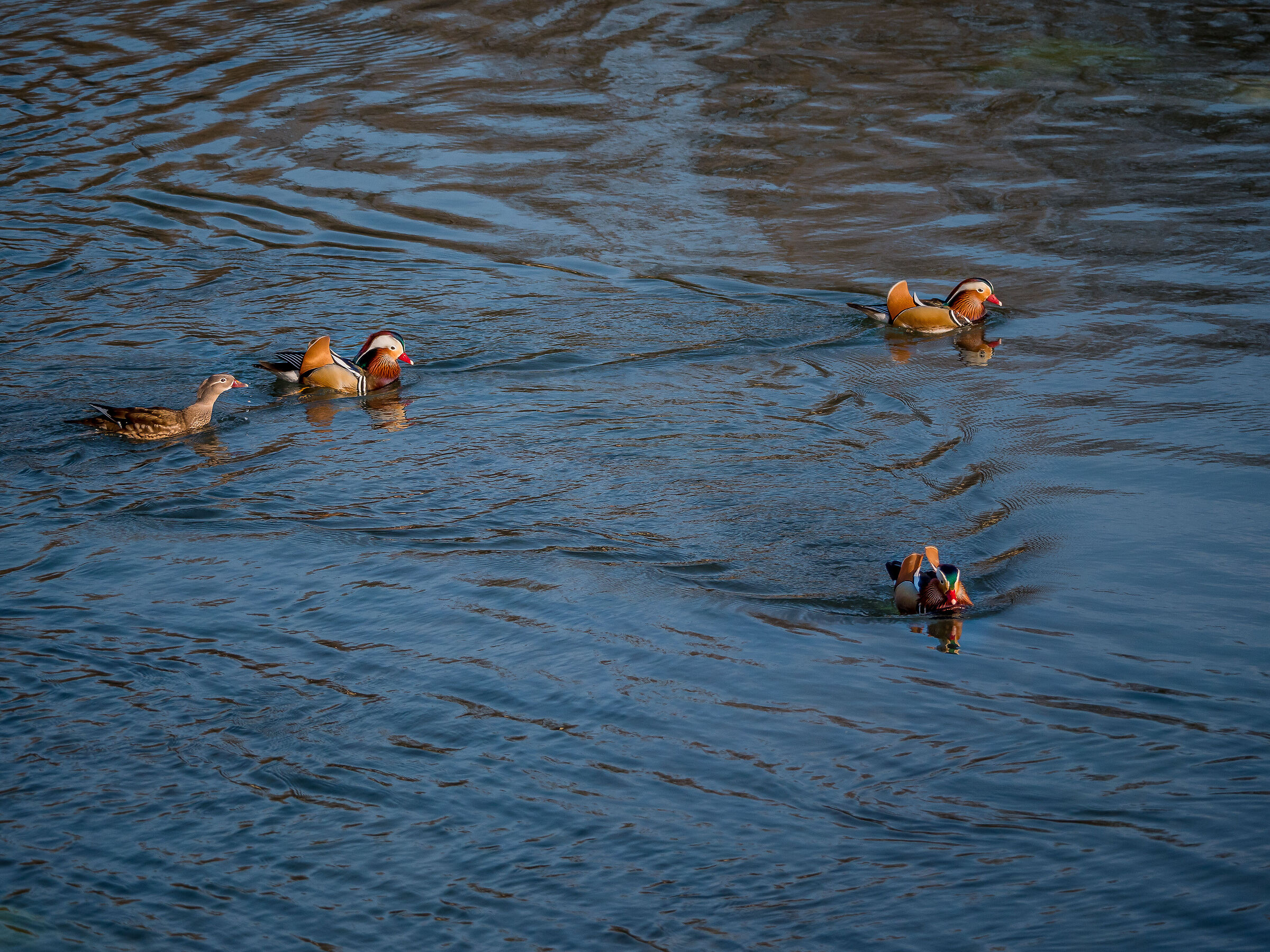 The triangle no I had not considered it......