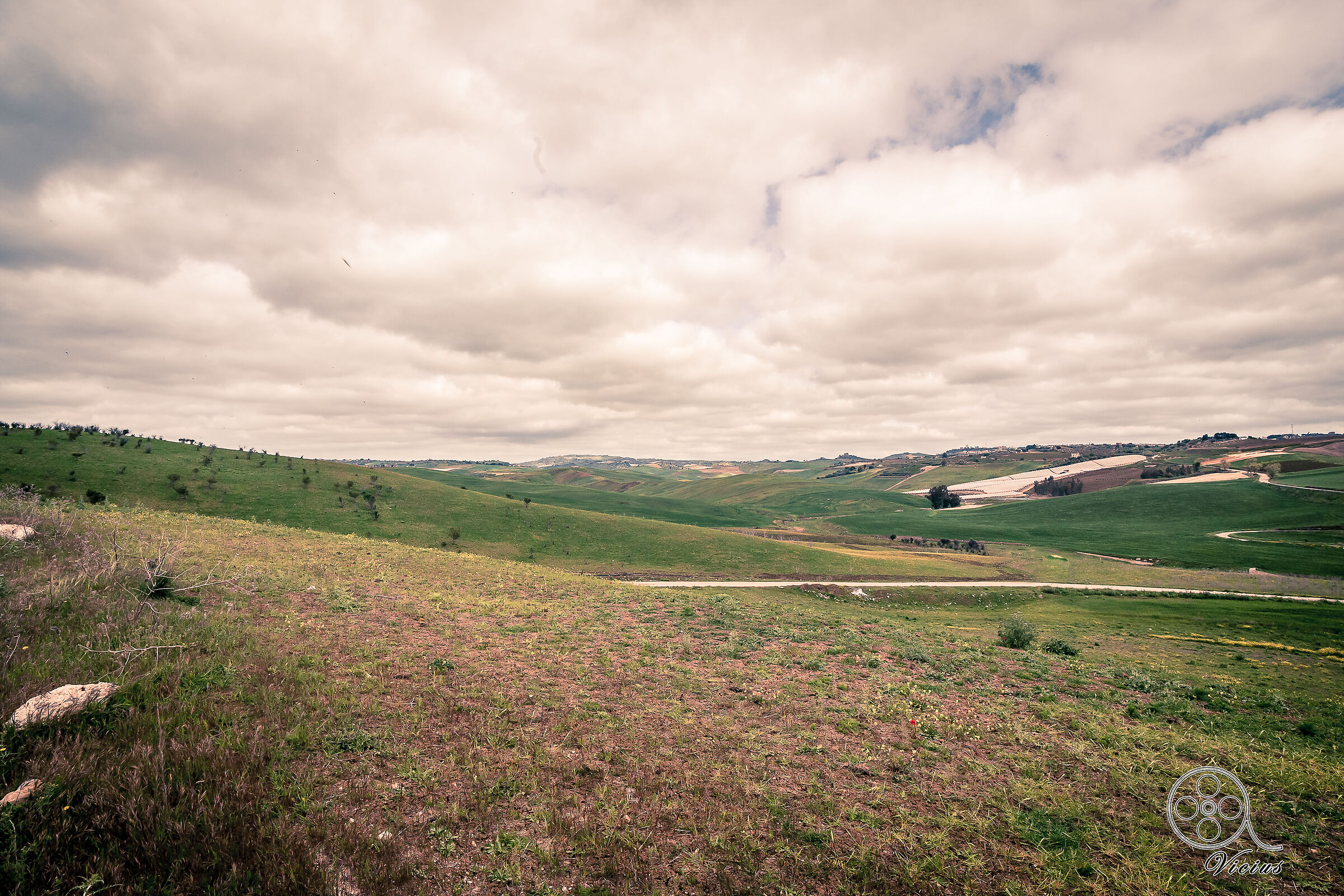 Tra le campagne brulle