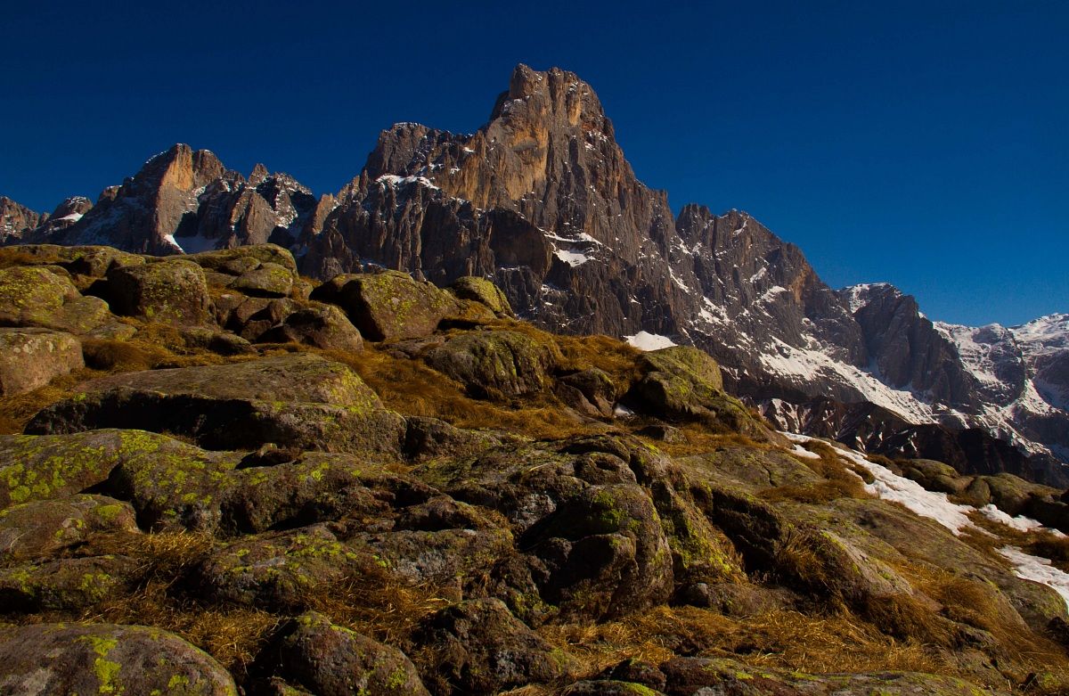 Natural Park Paneveggio