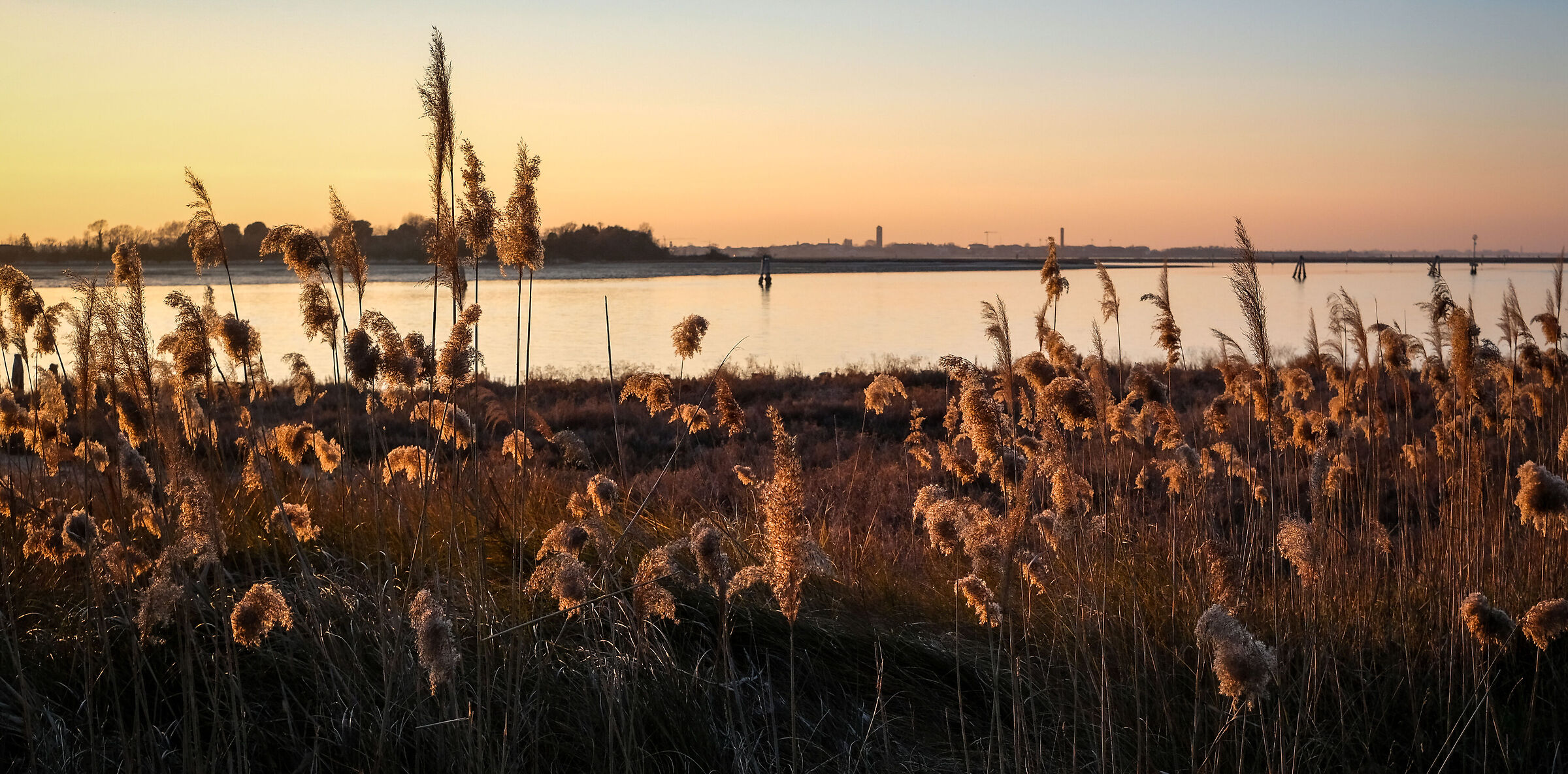 the peace of saint erasmus