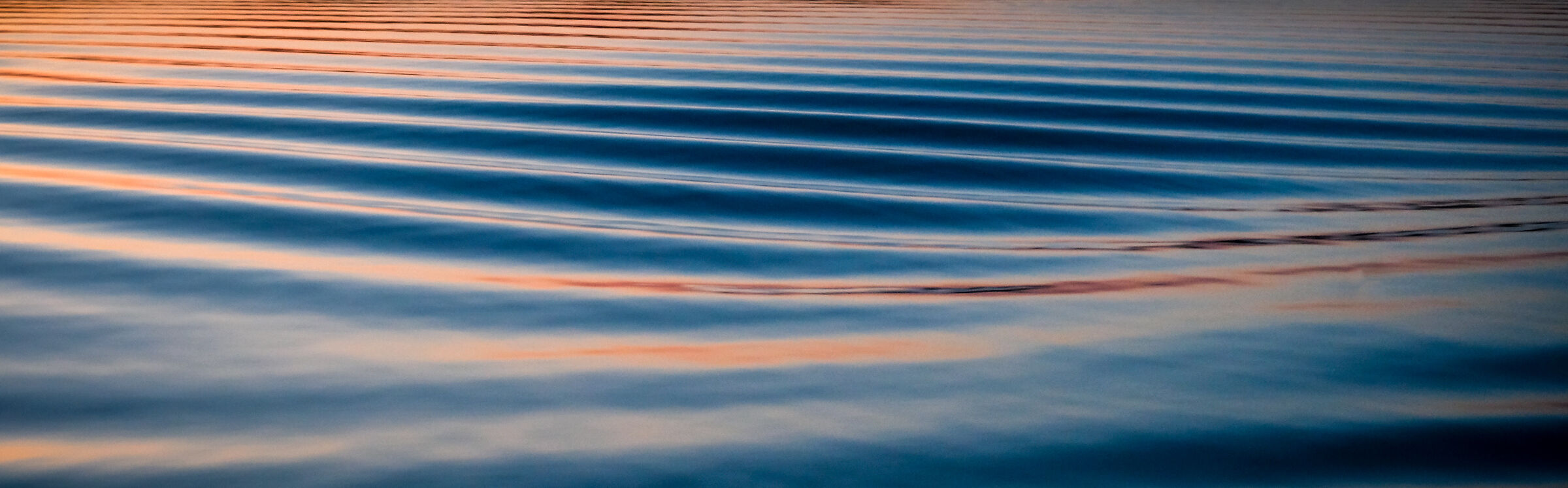 waves on the cheetahs