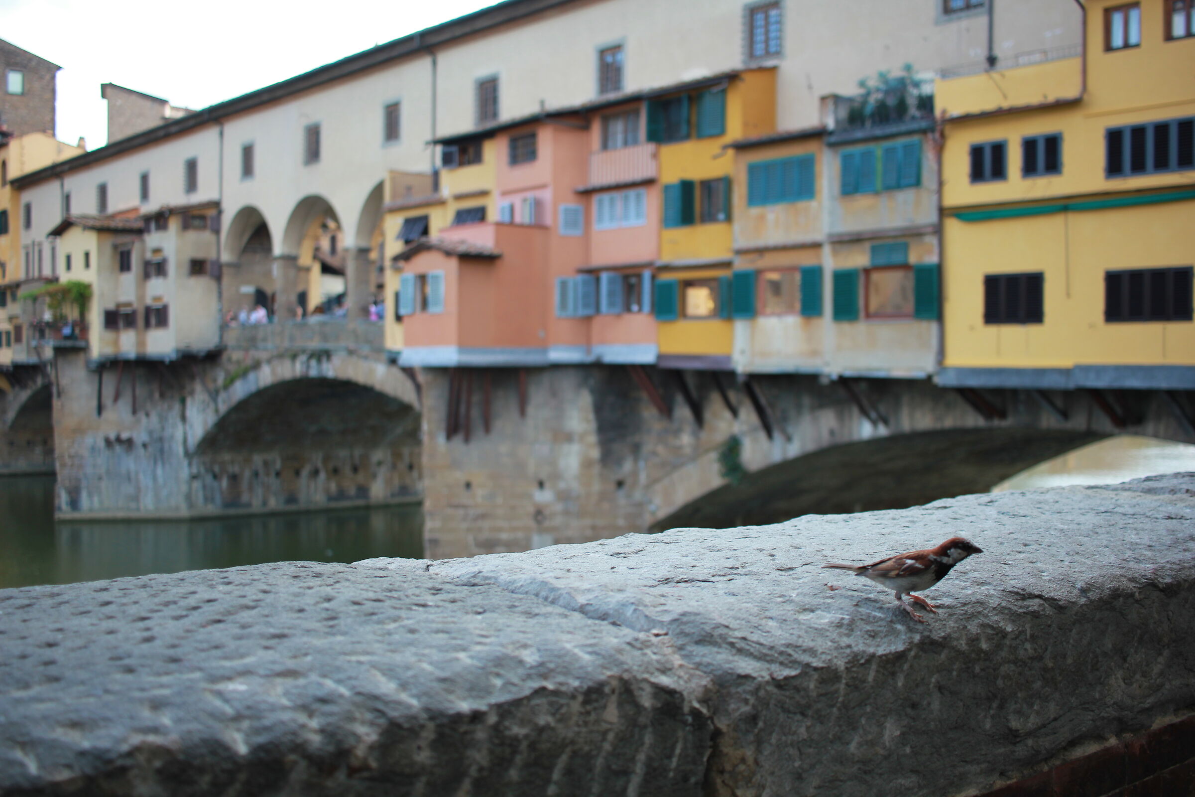 Florence - Old Bridge