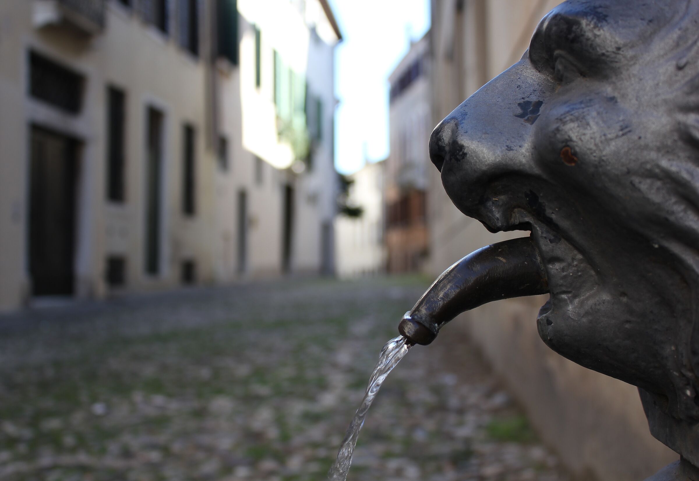 A fountain in Treviso