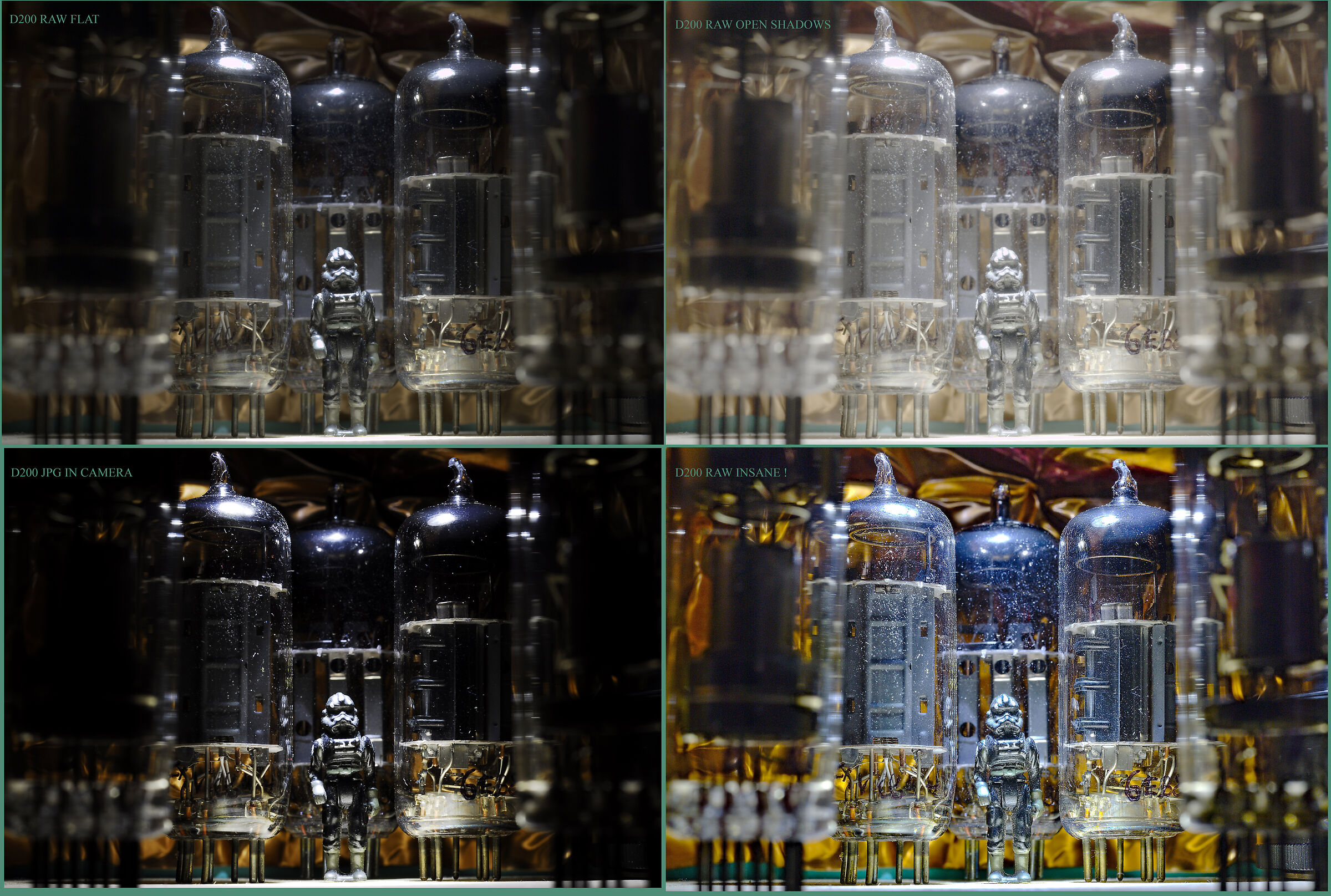 D200 RAW VS JPG