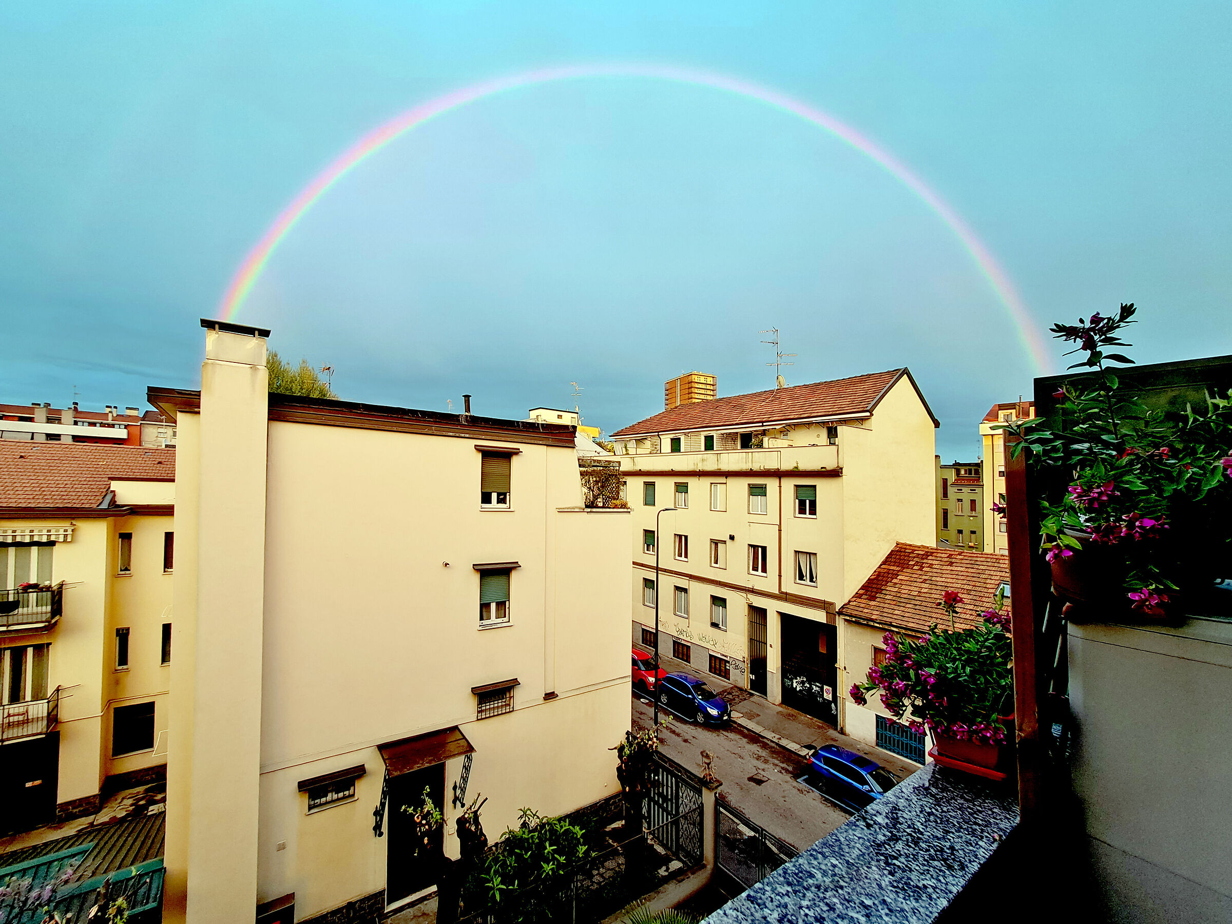 miracle in the suburbs (Milan)