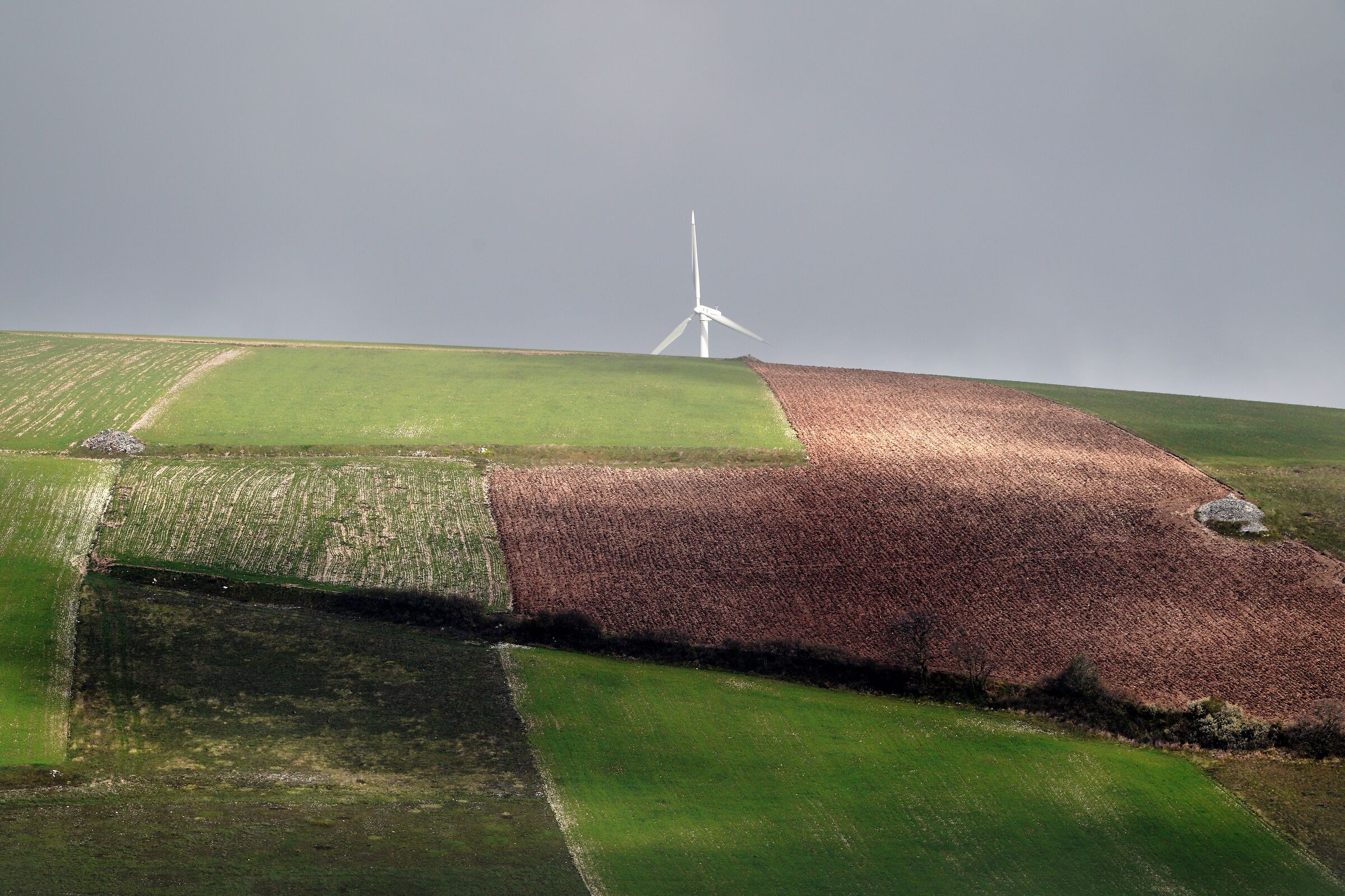 La mano dell'uomo sulla natura