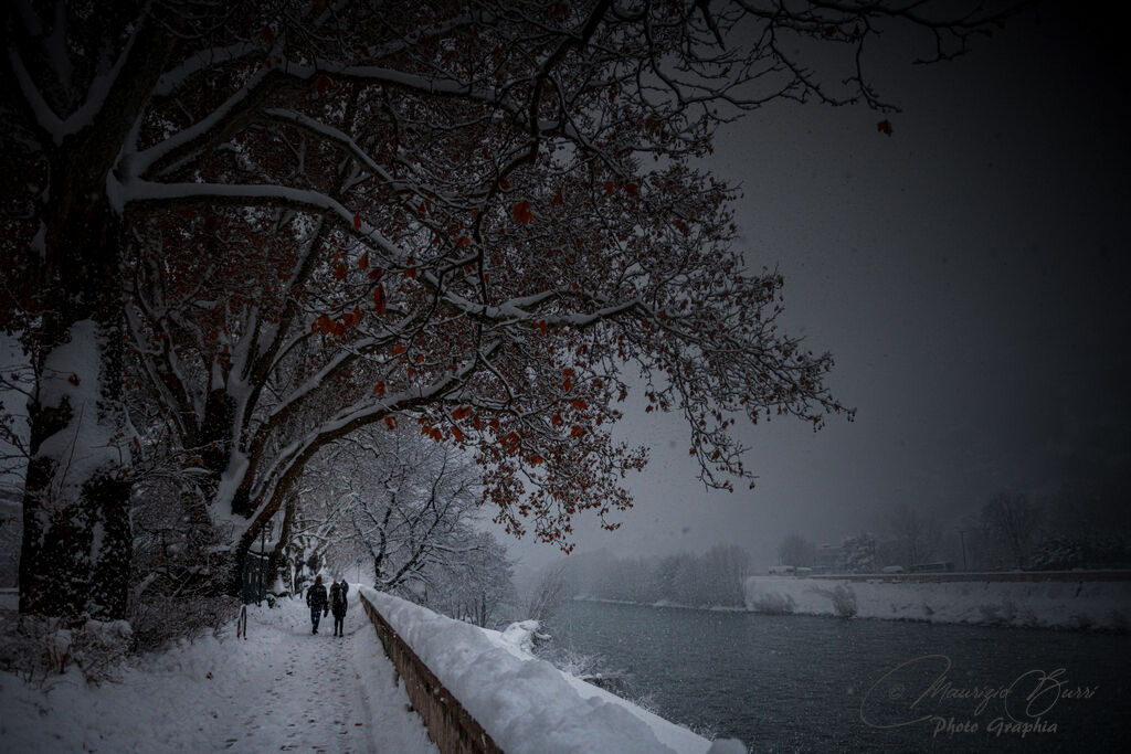 Walking under the snow