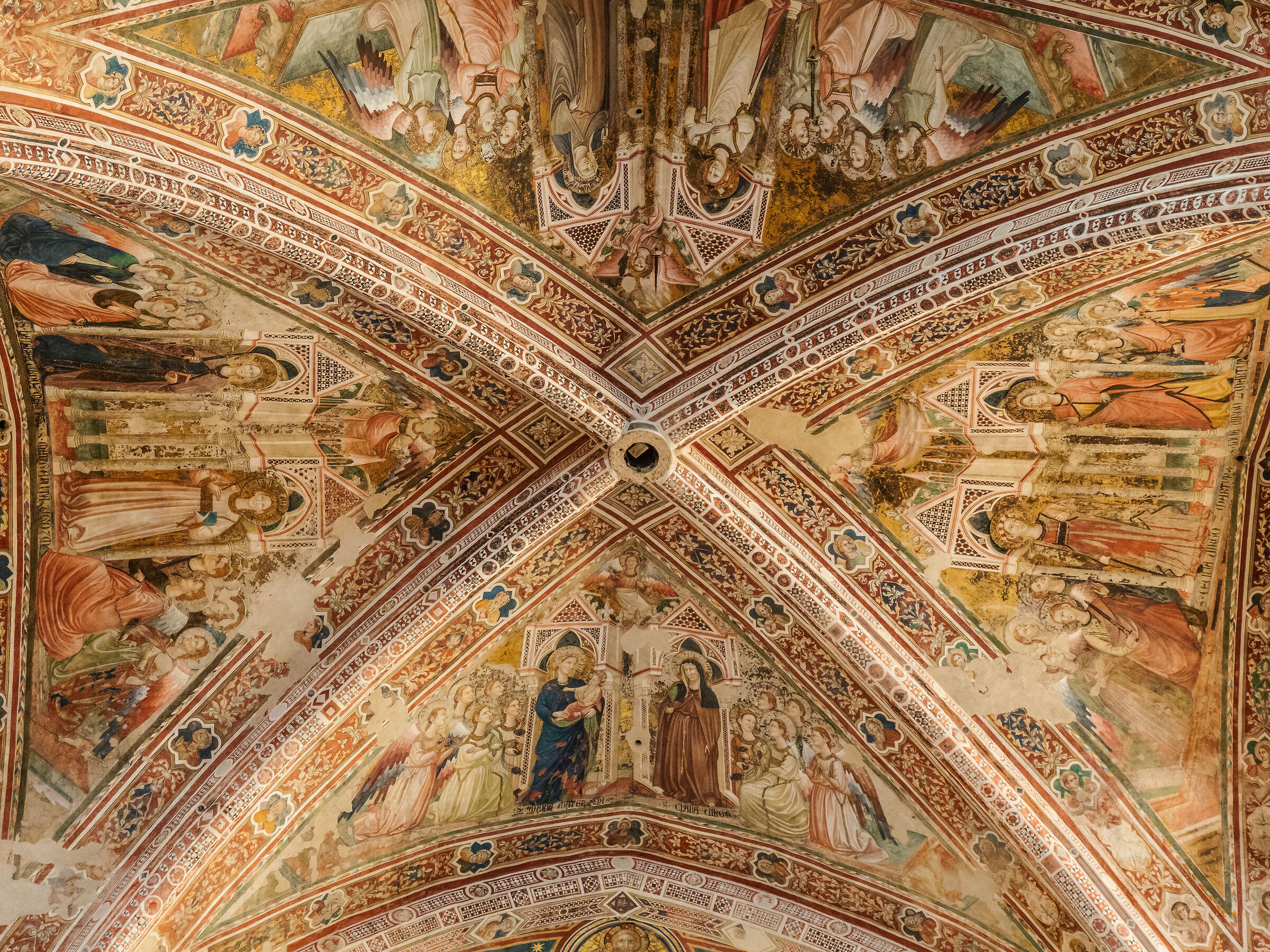 Volta basilica S. Chiara