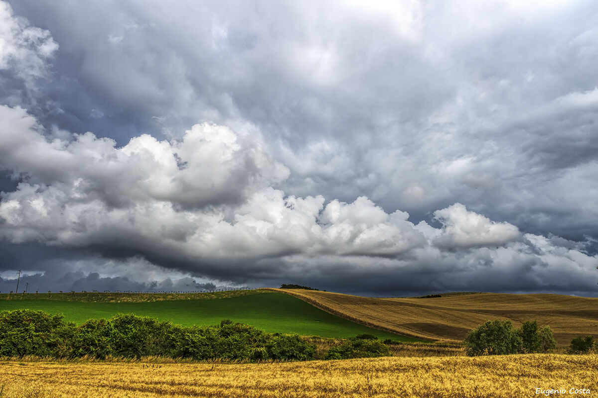 Campagna Toscana : Orciano Pisano (3)