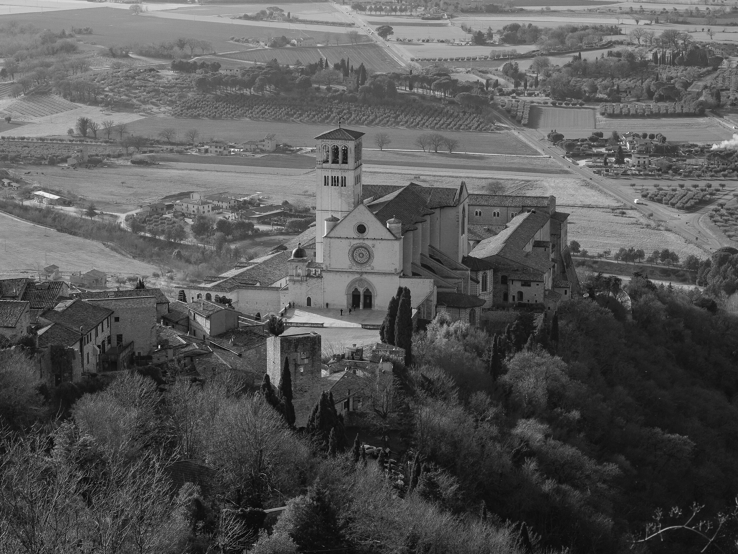 Basilica S.Francesco