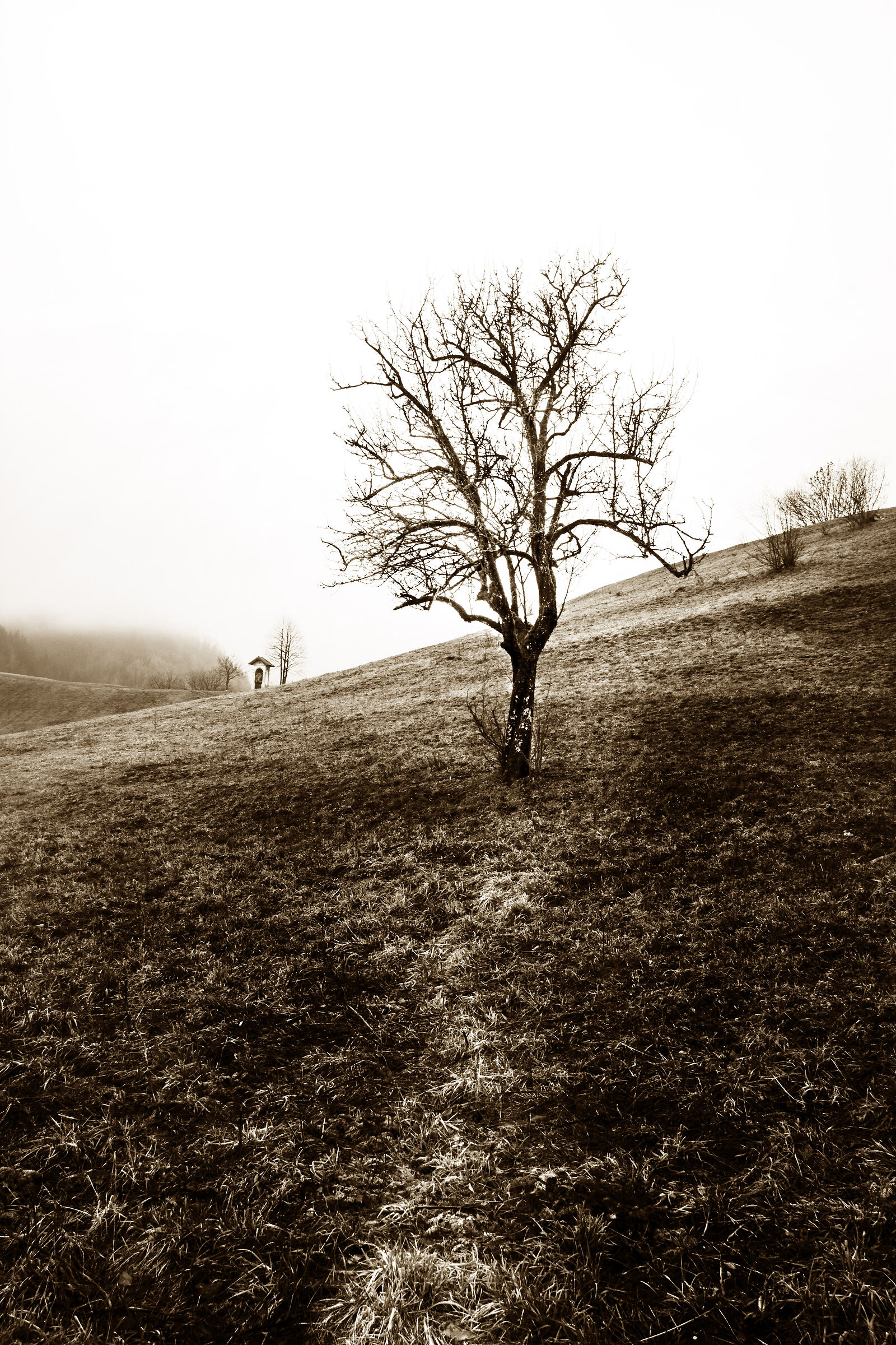 Towards the little church