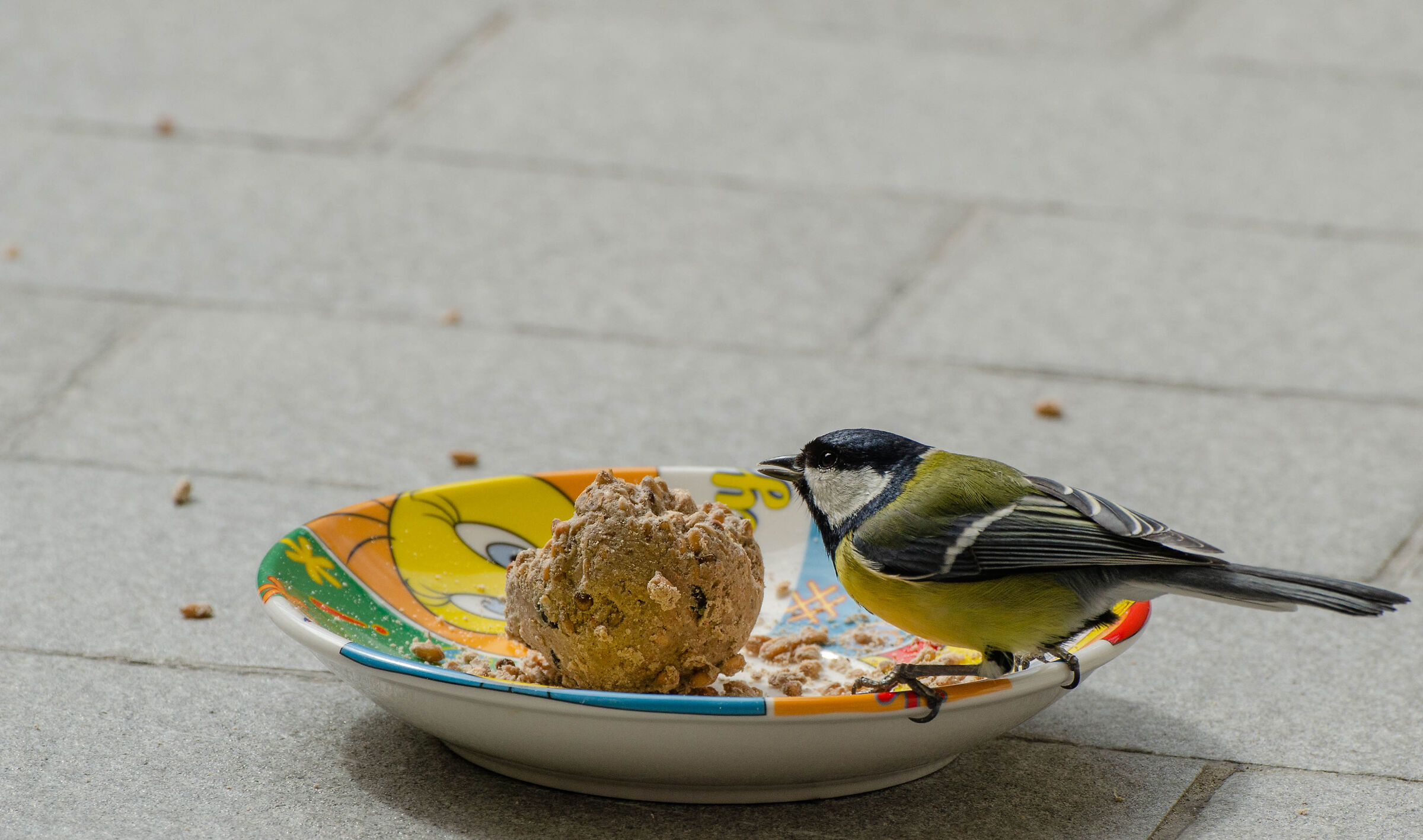 La mia fotomodella 2