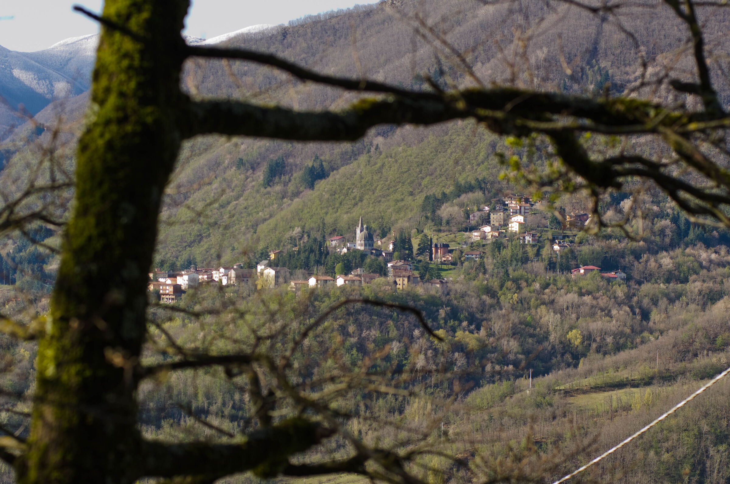 Lizzano in Belvedere