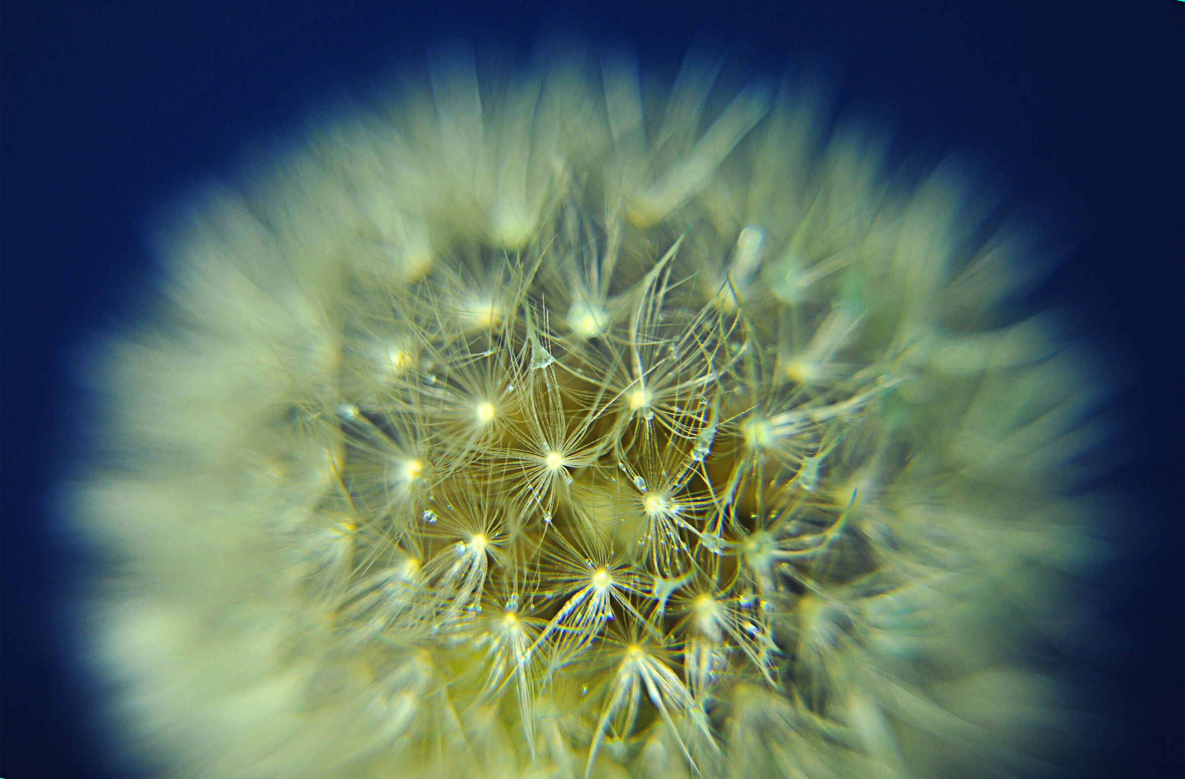 stelle in un soffio.....ne