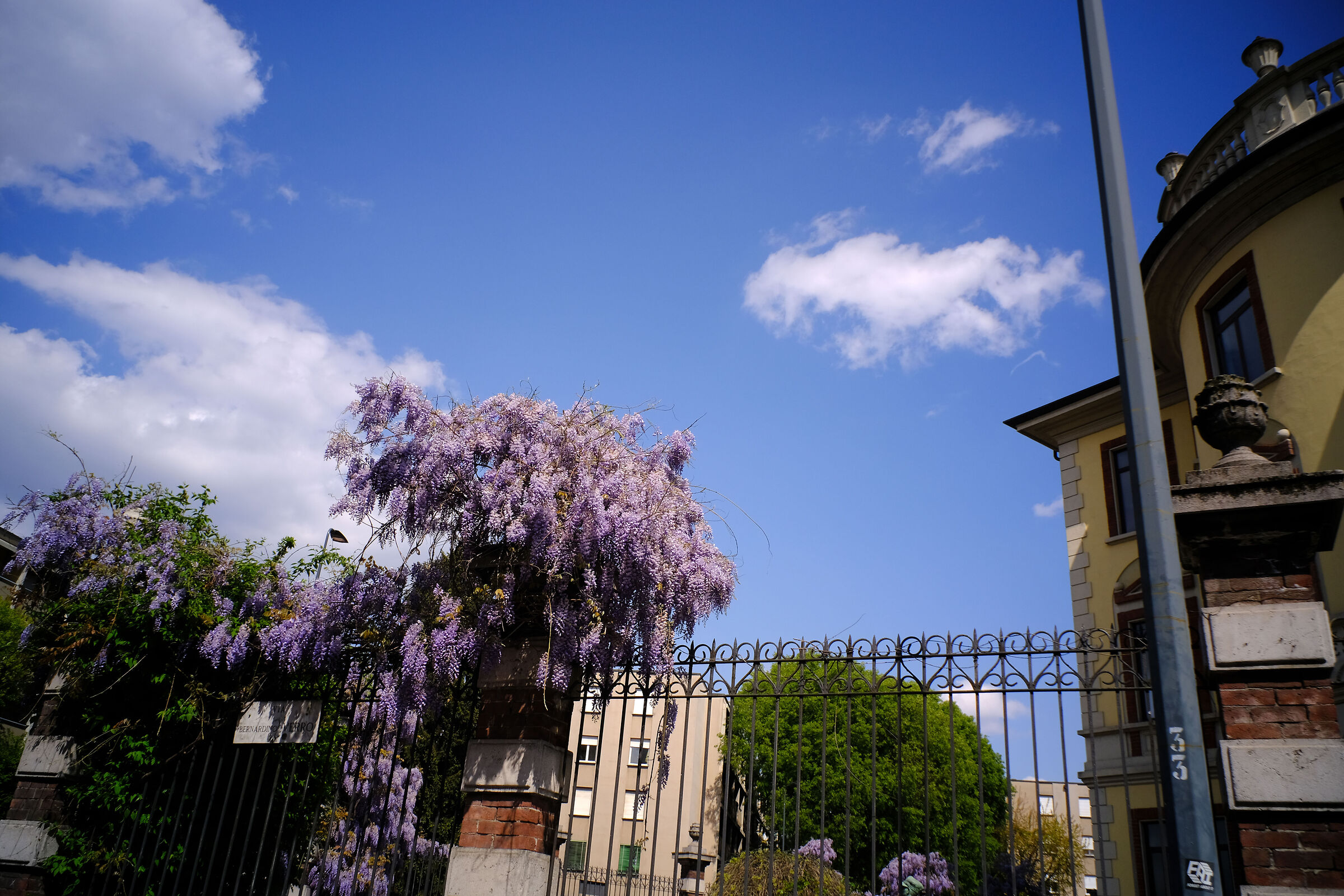 a spasso col 18mm. 6,3 UFO della 7Artisans