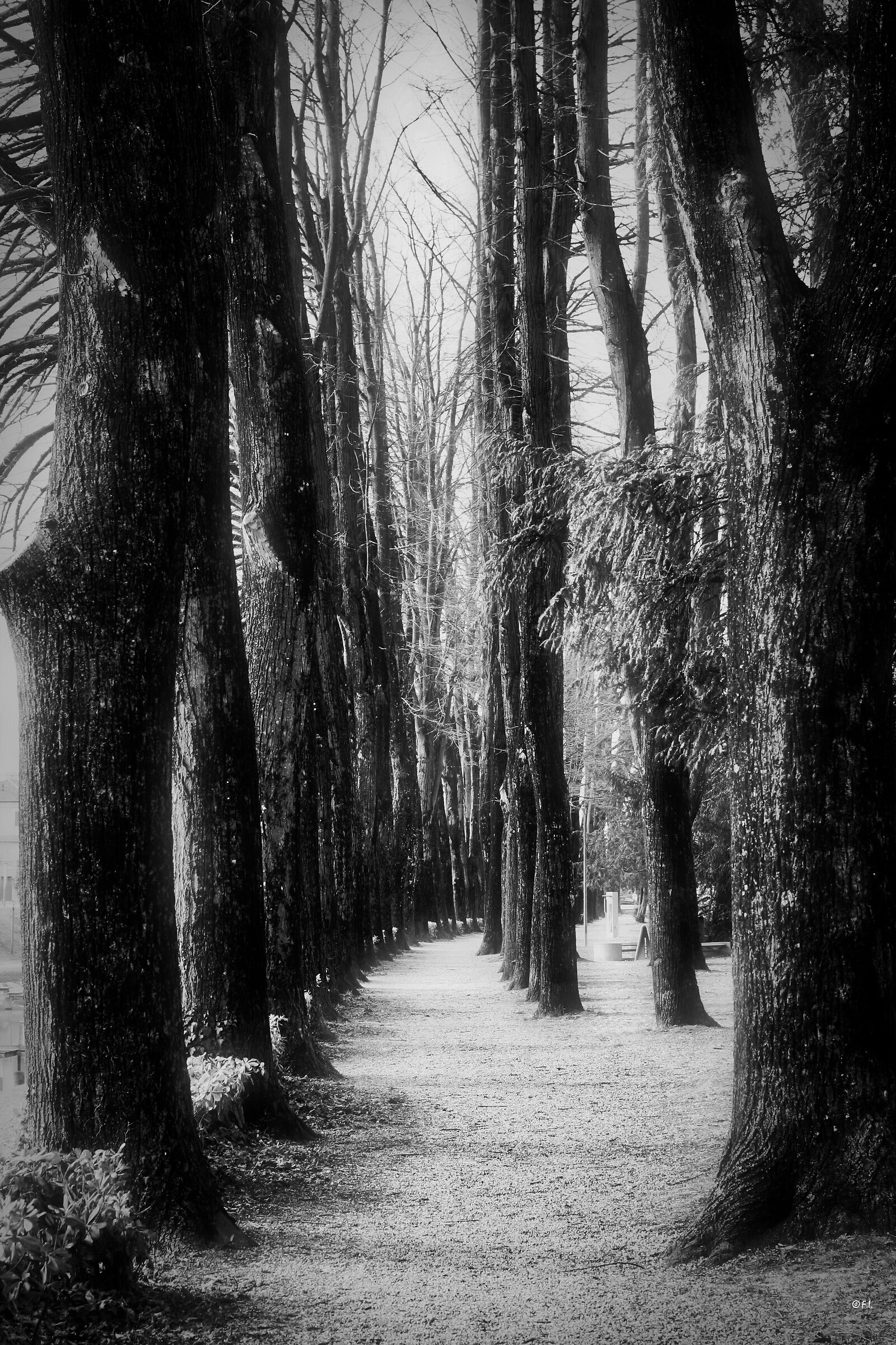 the weeping of silence