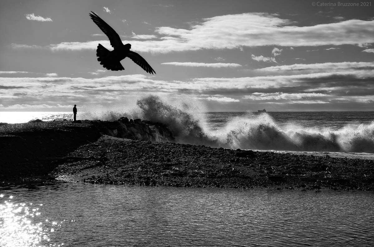 Aspettando un po' di libertà