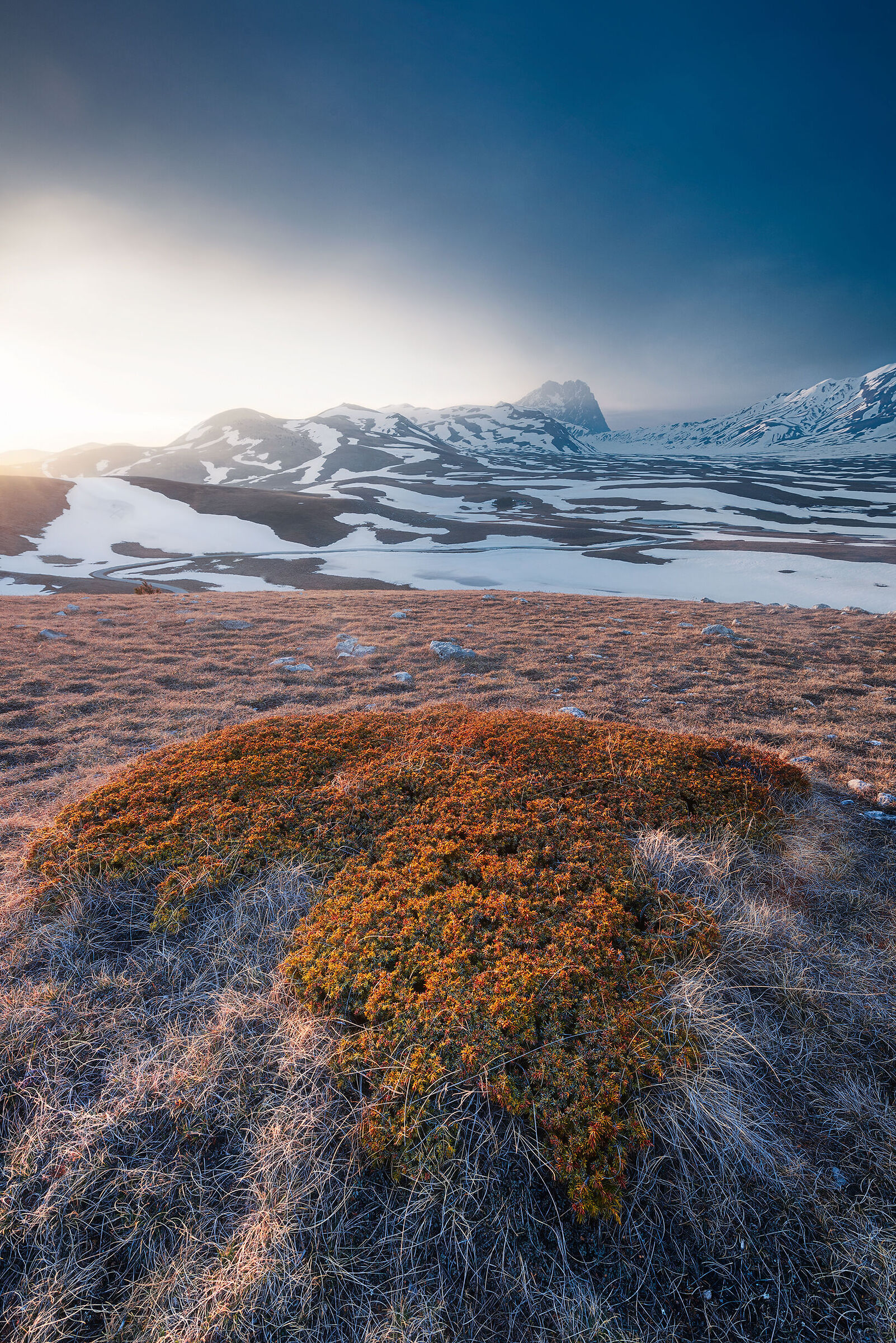 Emperor Field - April 2017