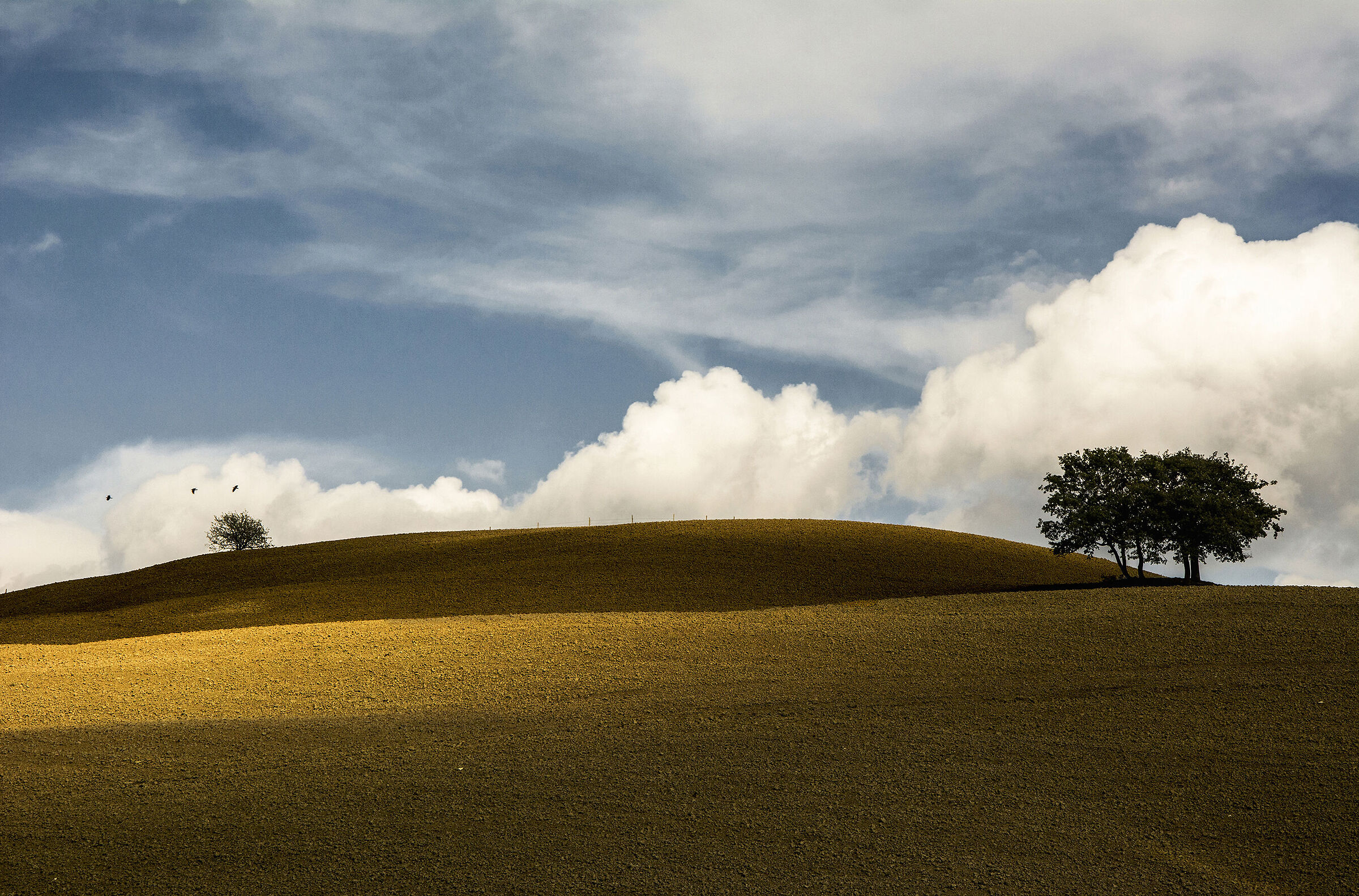 I vecchi e il giovane