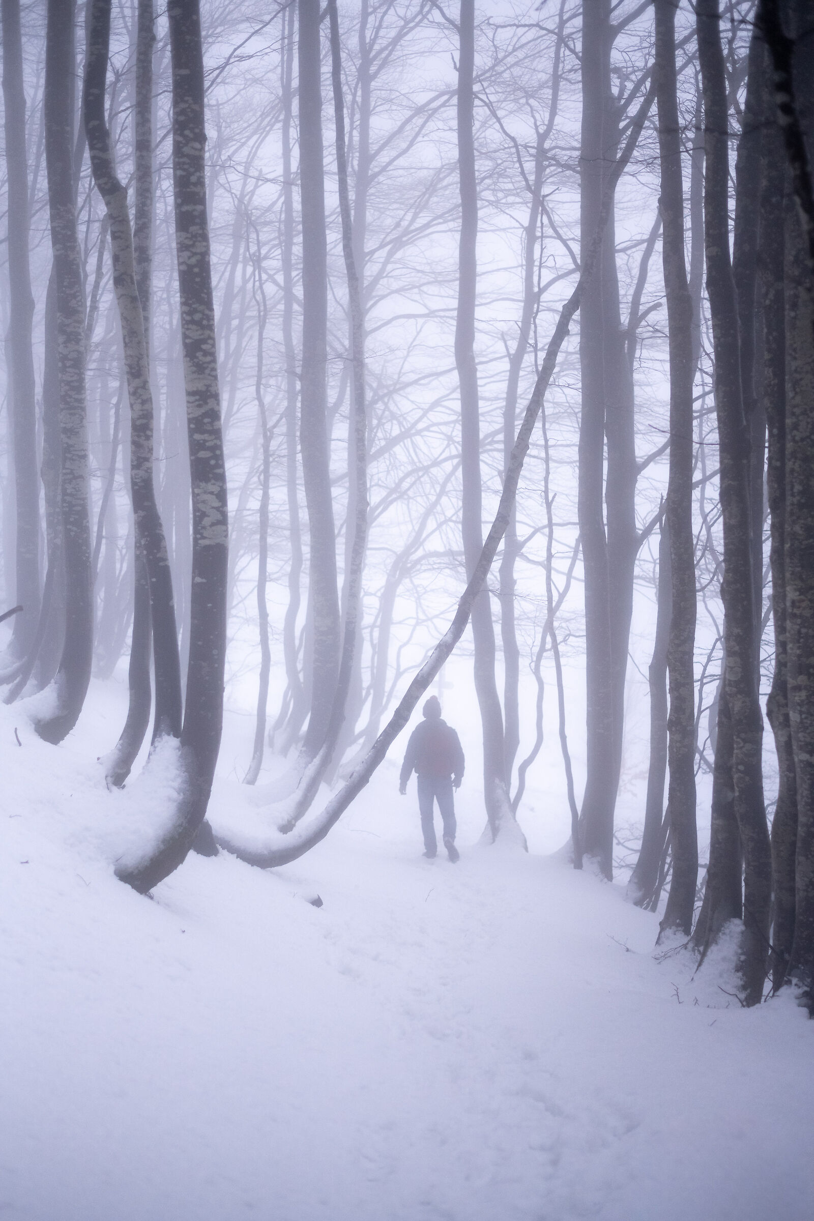 Holy Lake 01 - Ghost