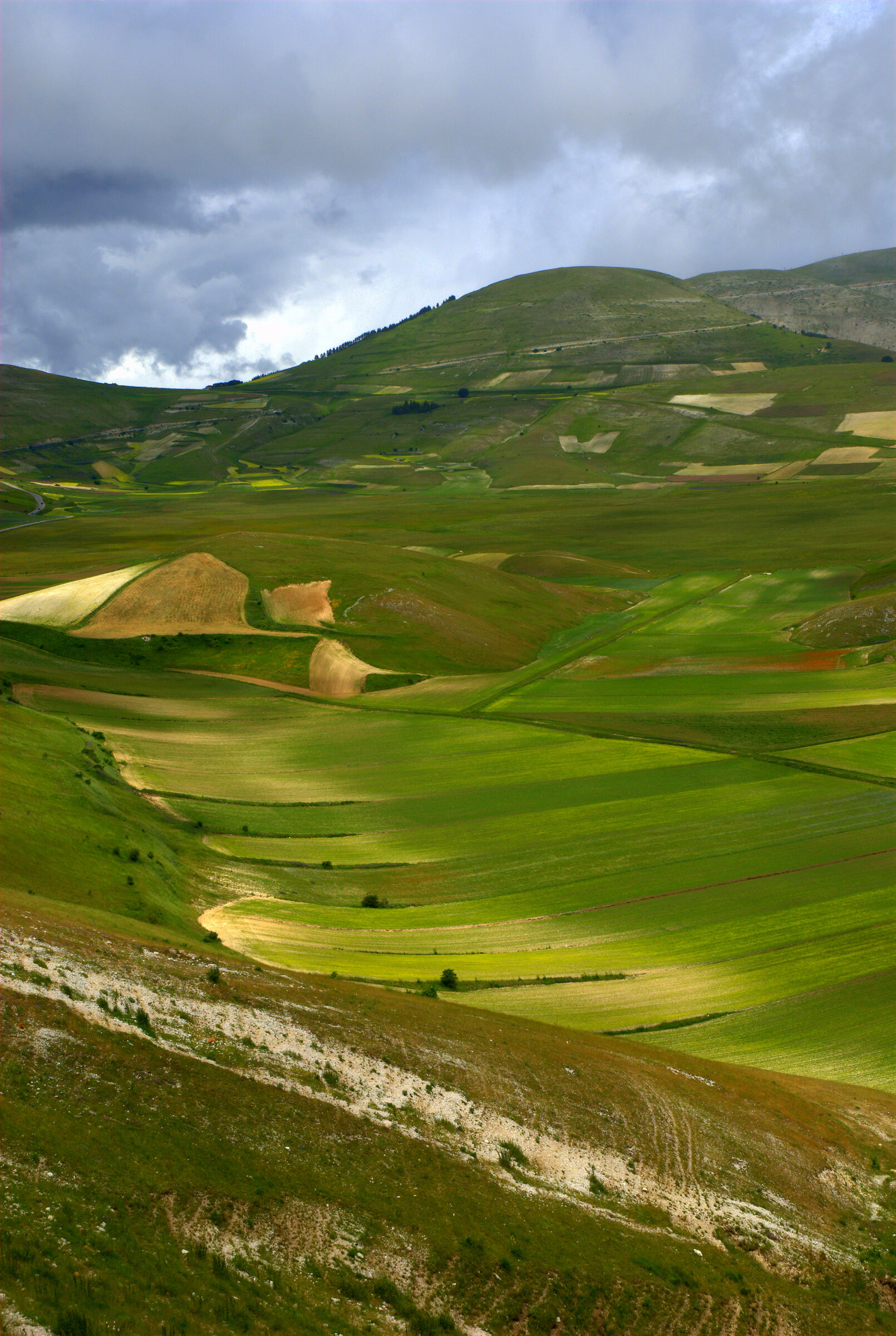 sfumature di prati a Castelluccio