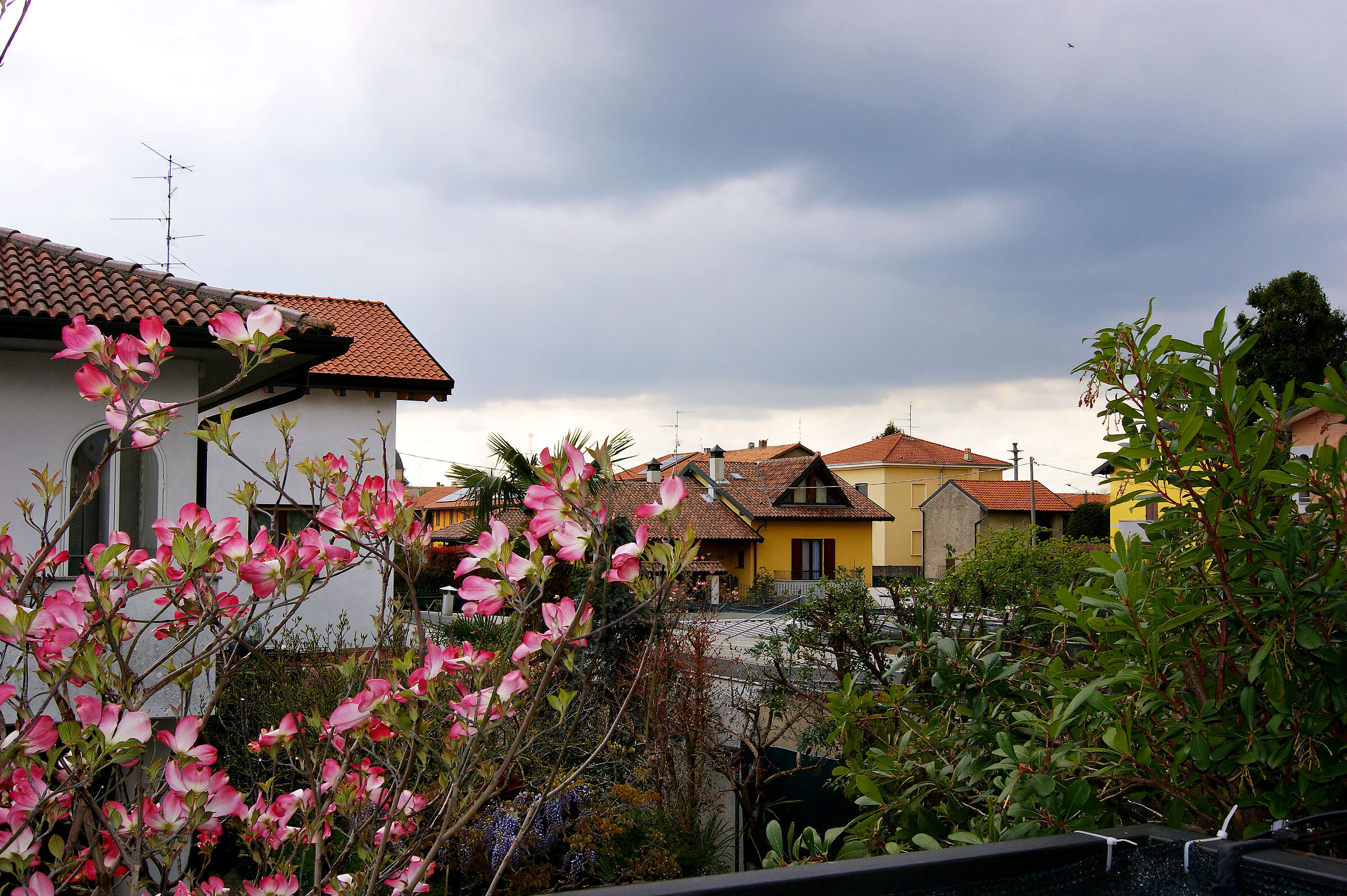 From my balcony of houses