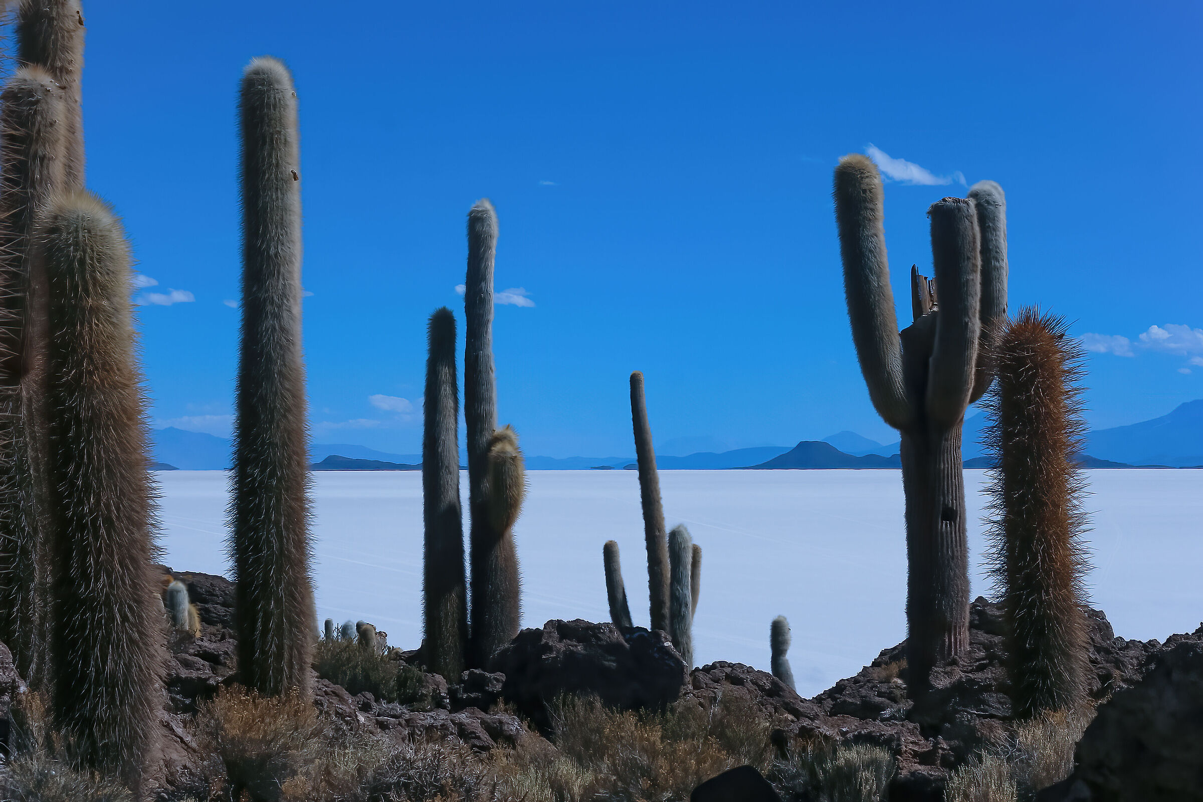 In the Salt Desert.Nostalgia effect.