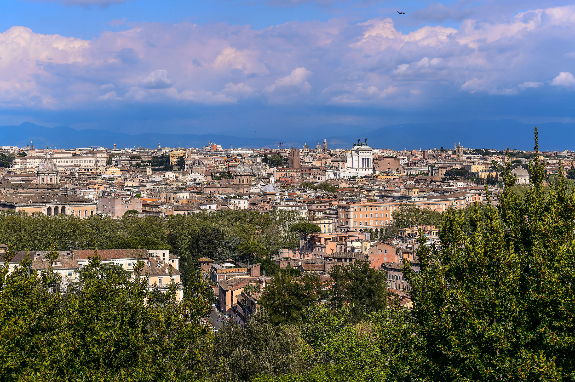 A part of Rome from the Janiculum