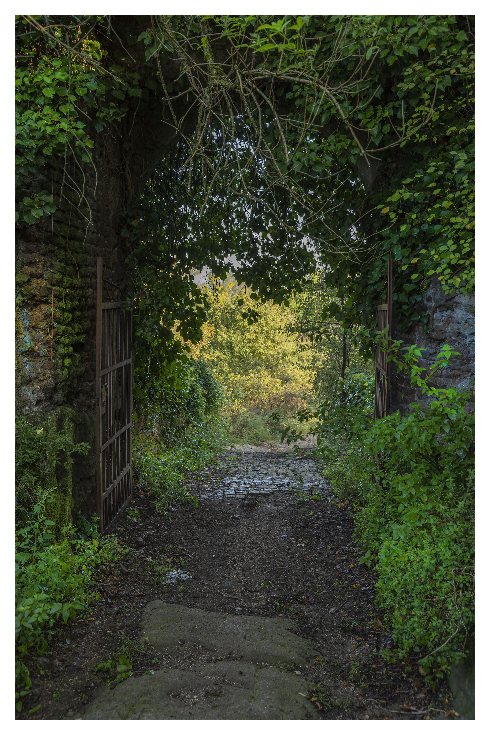 Il cancello del bosco elfico