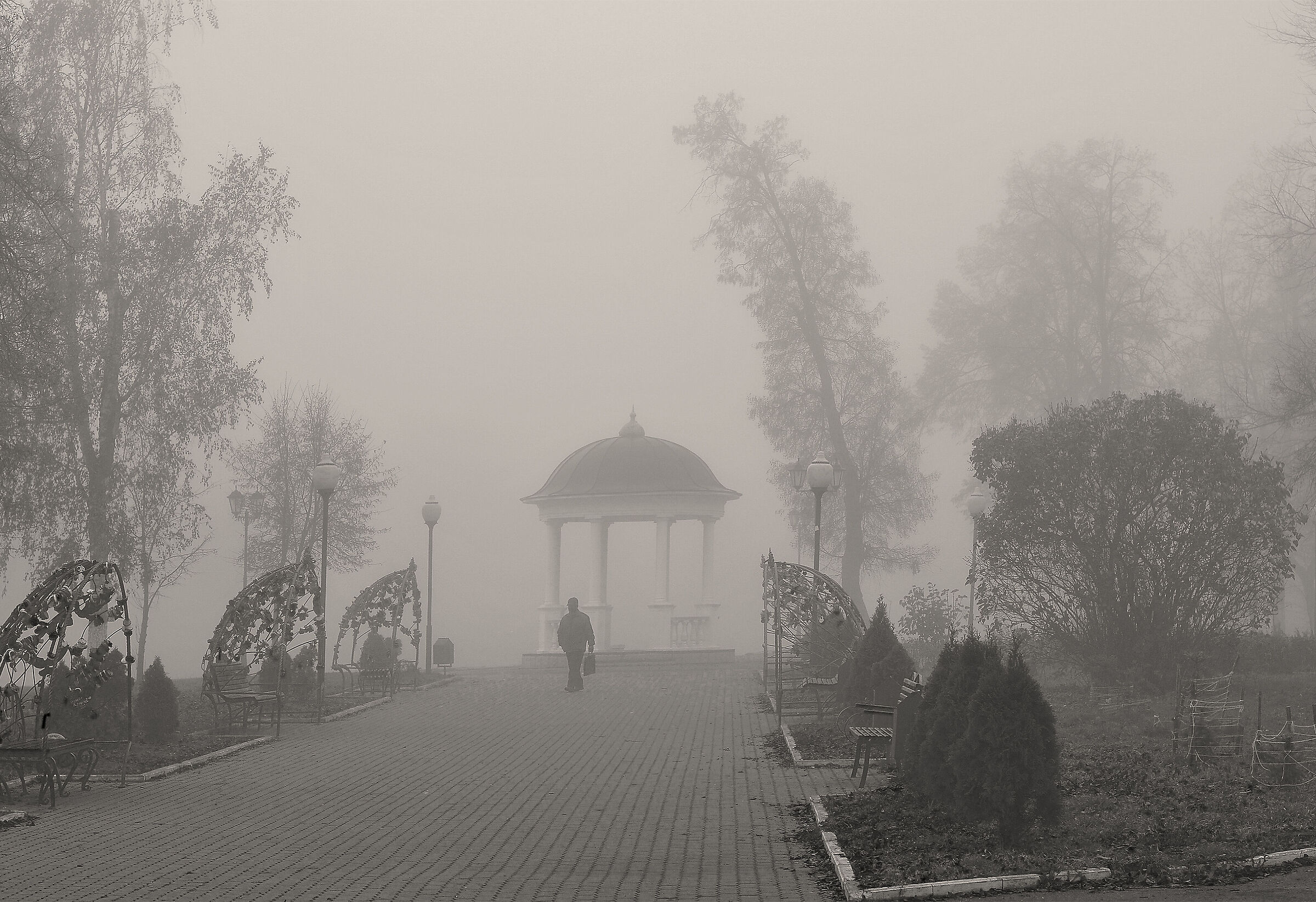Mattina nebbiosa...