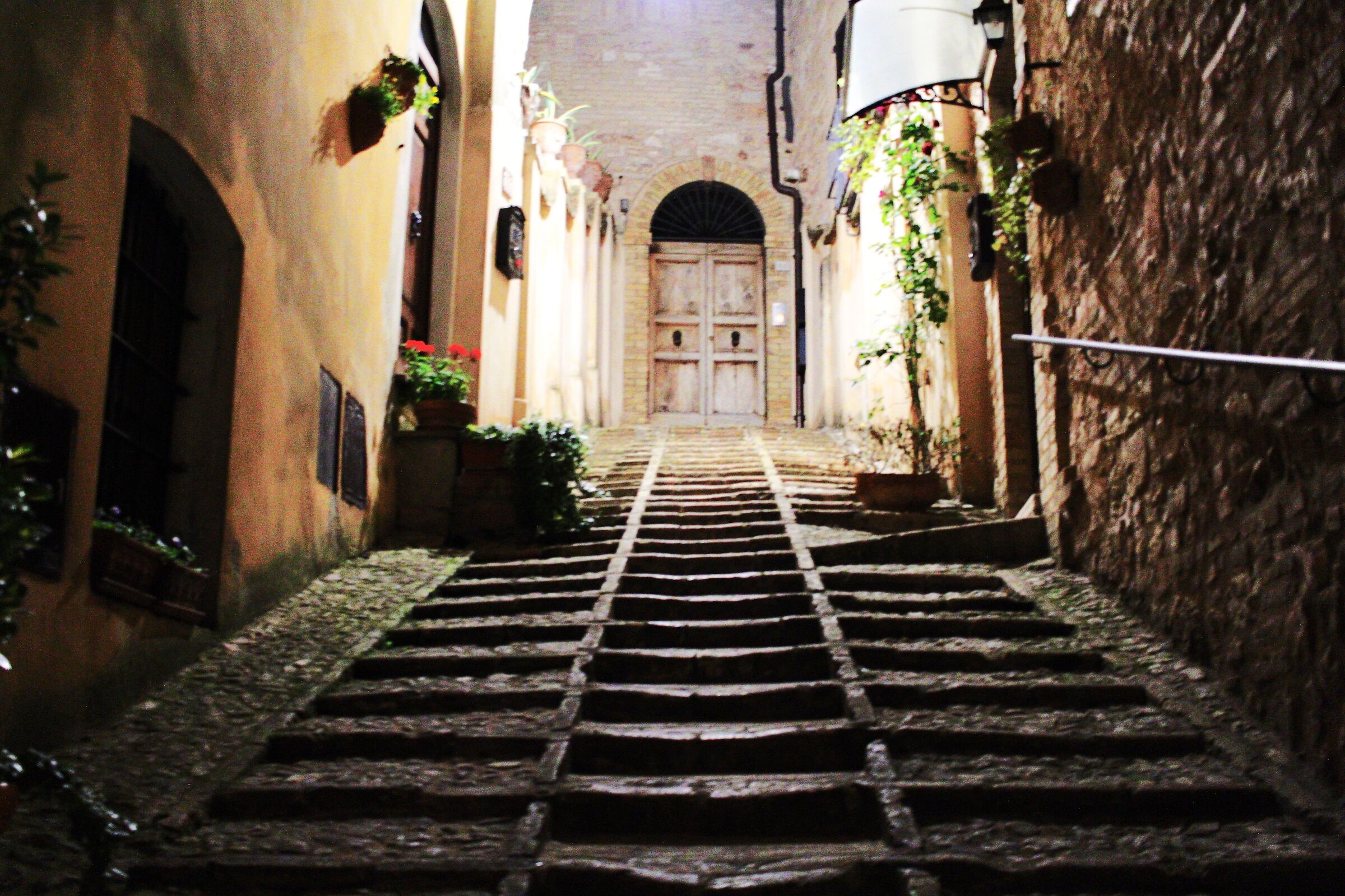 Vico of Spello PG