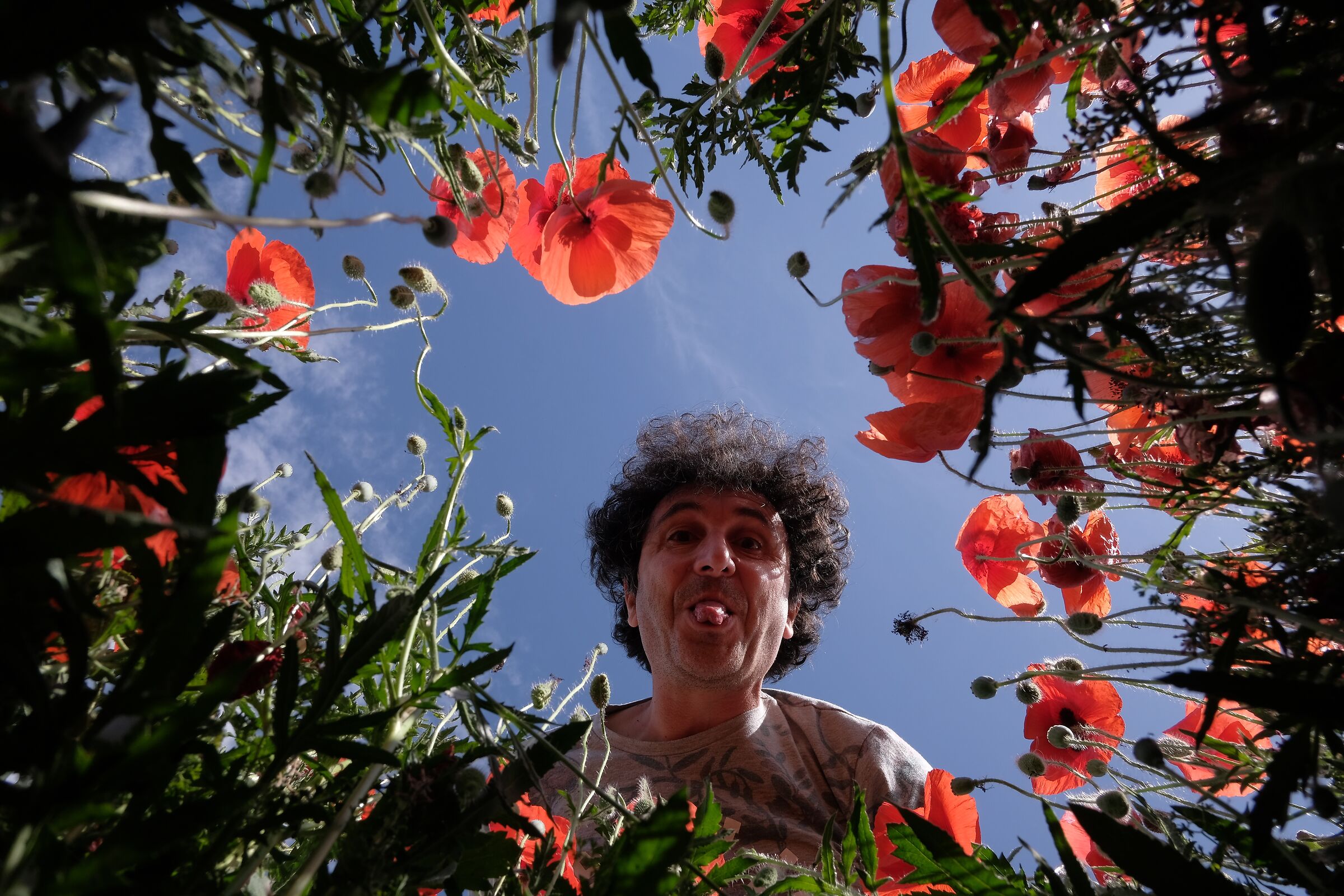 Portrait from below