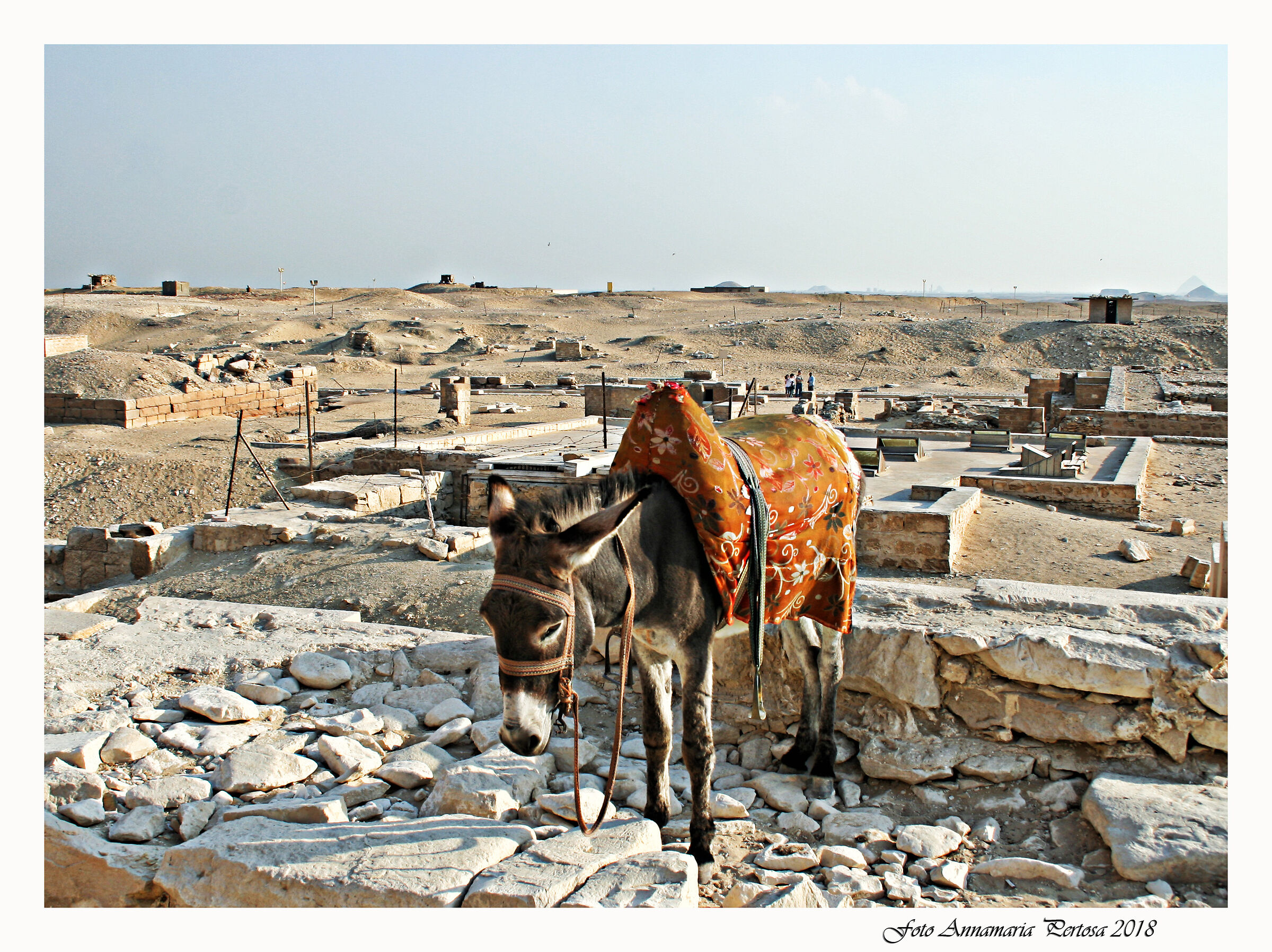 Nei pressi del Tempio di Edfu