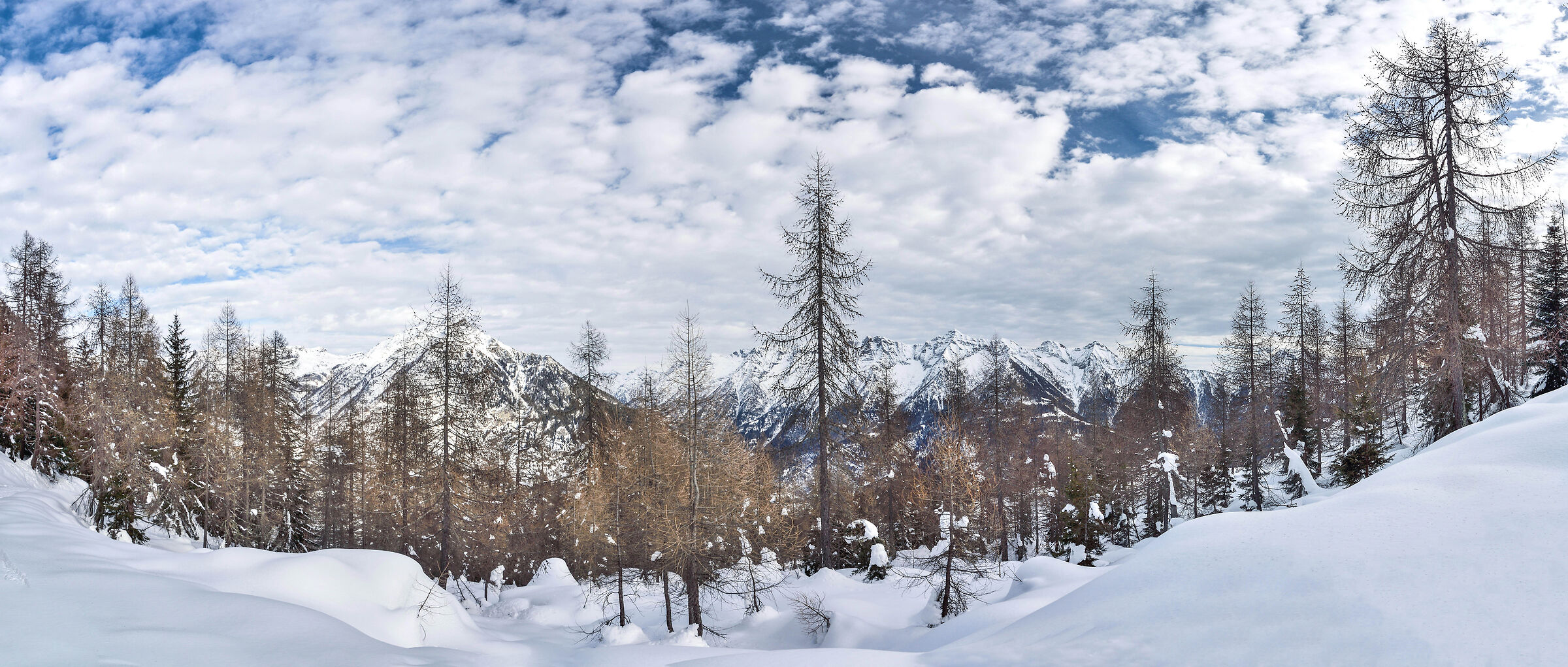 scendendo dall'Alpe Deccia superiore