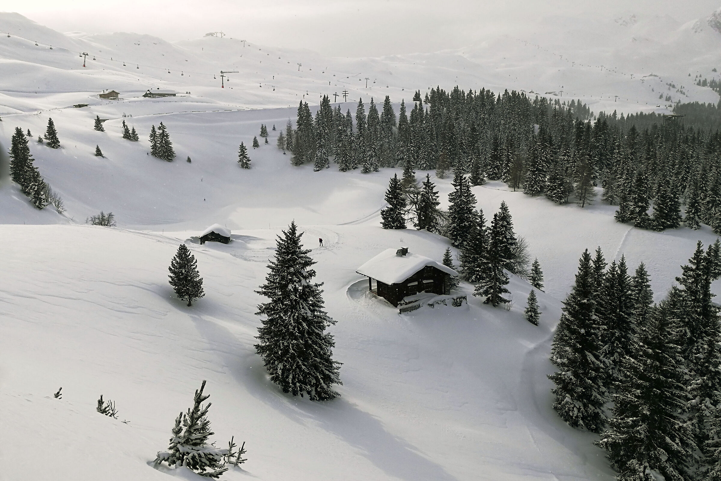 Bianco come la neve