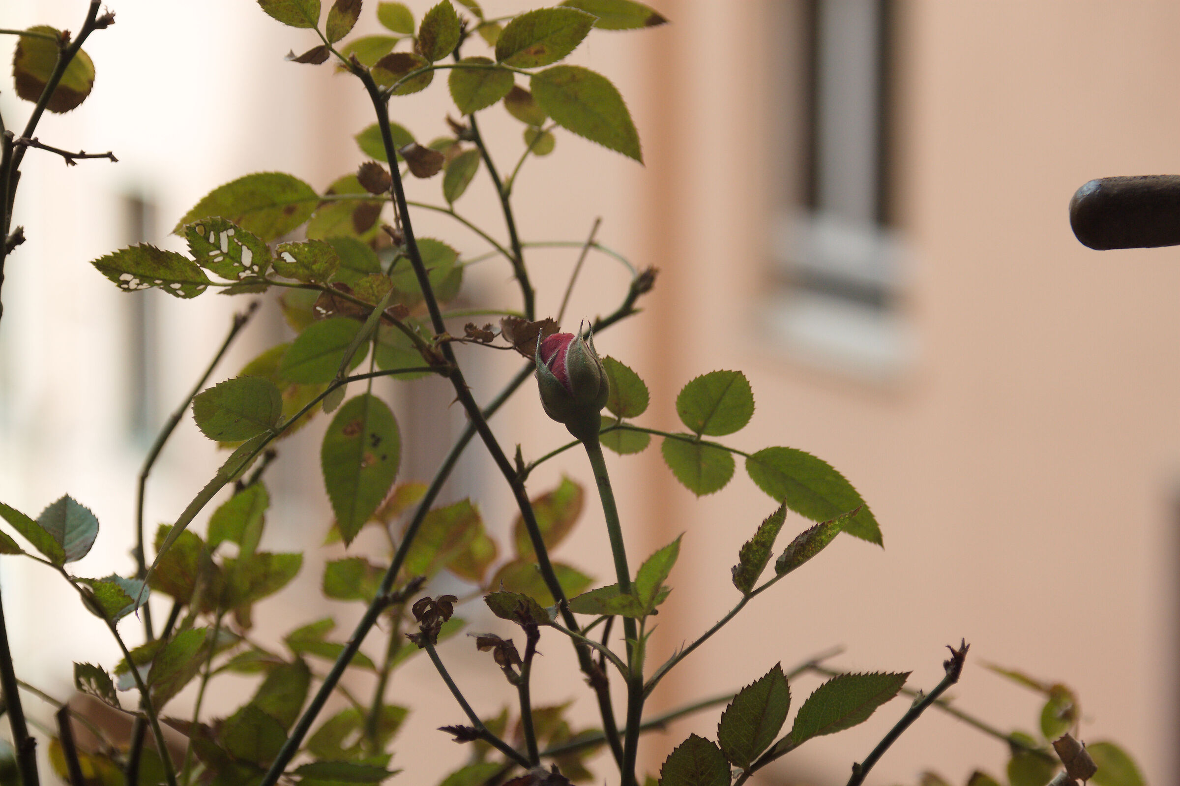 Untitled Photo