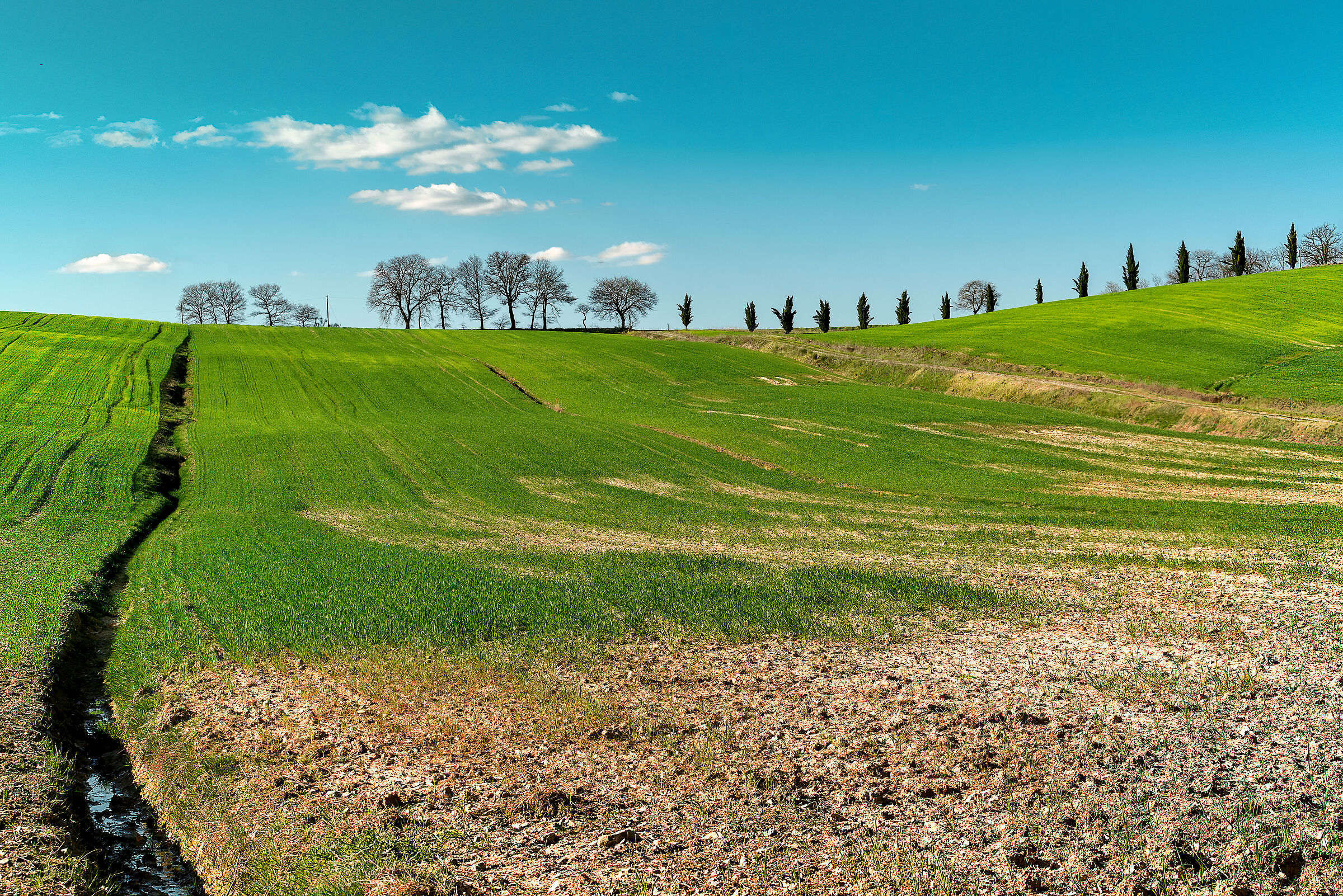 landscape tra umbria e toscana valdichiana meridionale