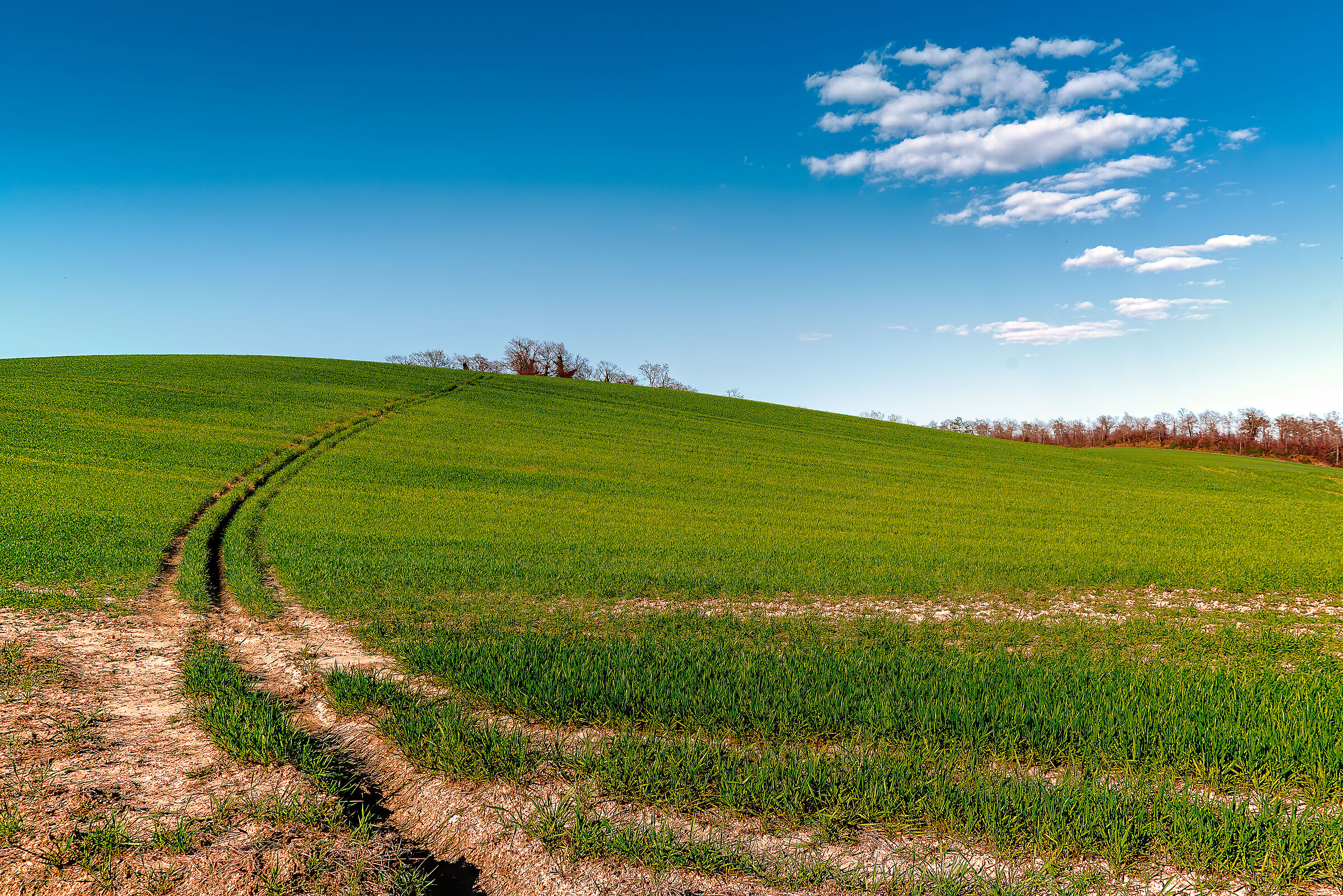 landscape tra umbria e toscana valdichiana meridionale