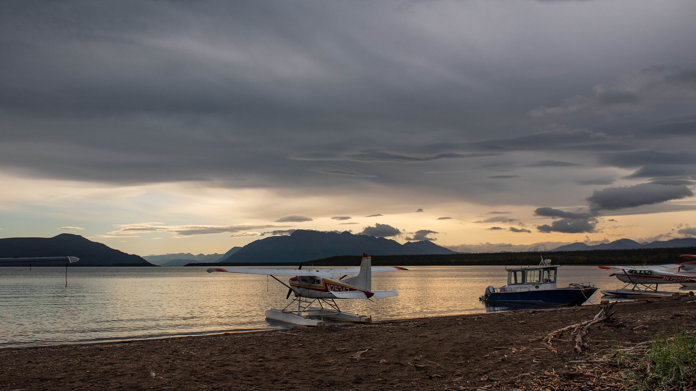 Piovosa mattina... Katmai n.p., Alaska