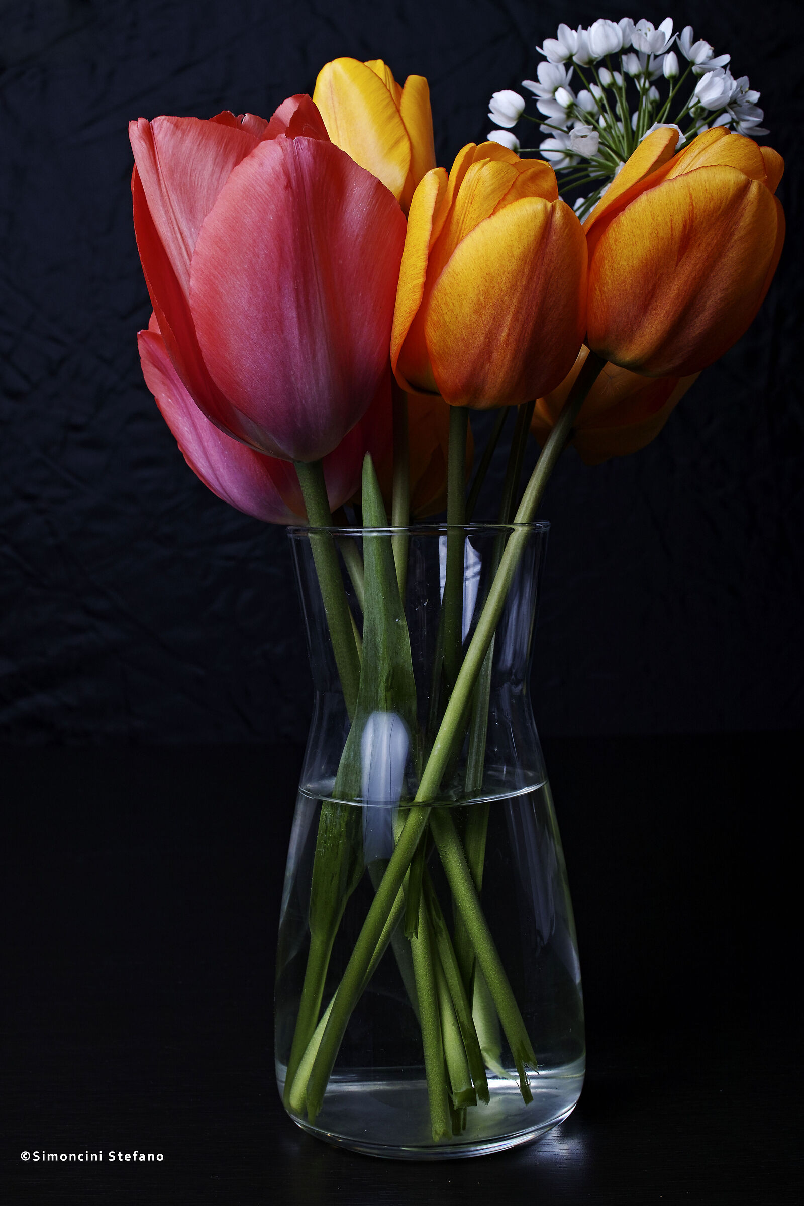 Flowers from the garden