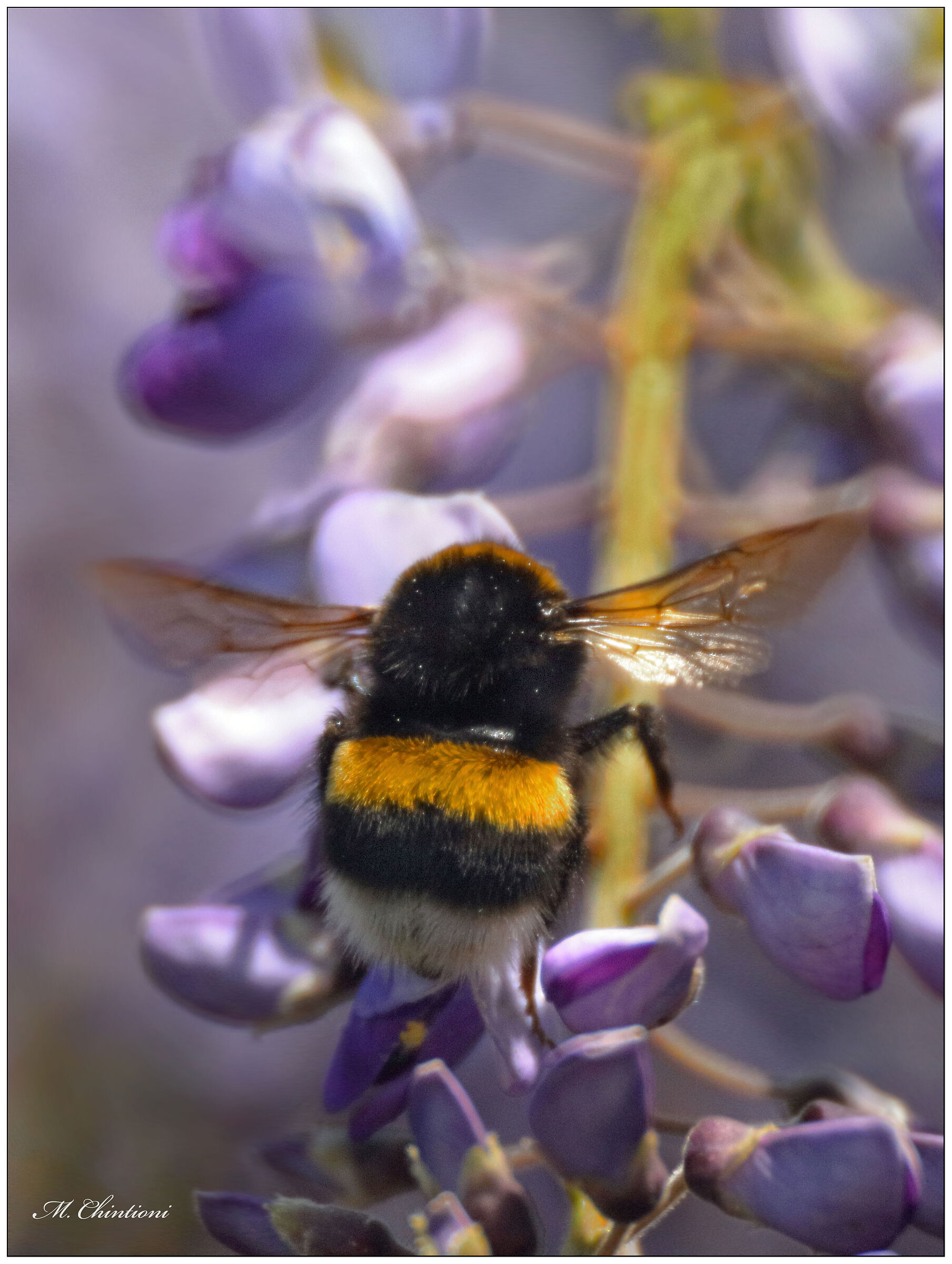 Prova Tokina 400 f.8 Relex MF