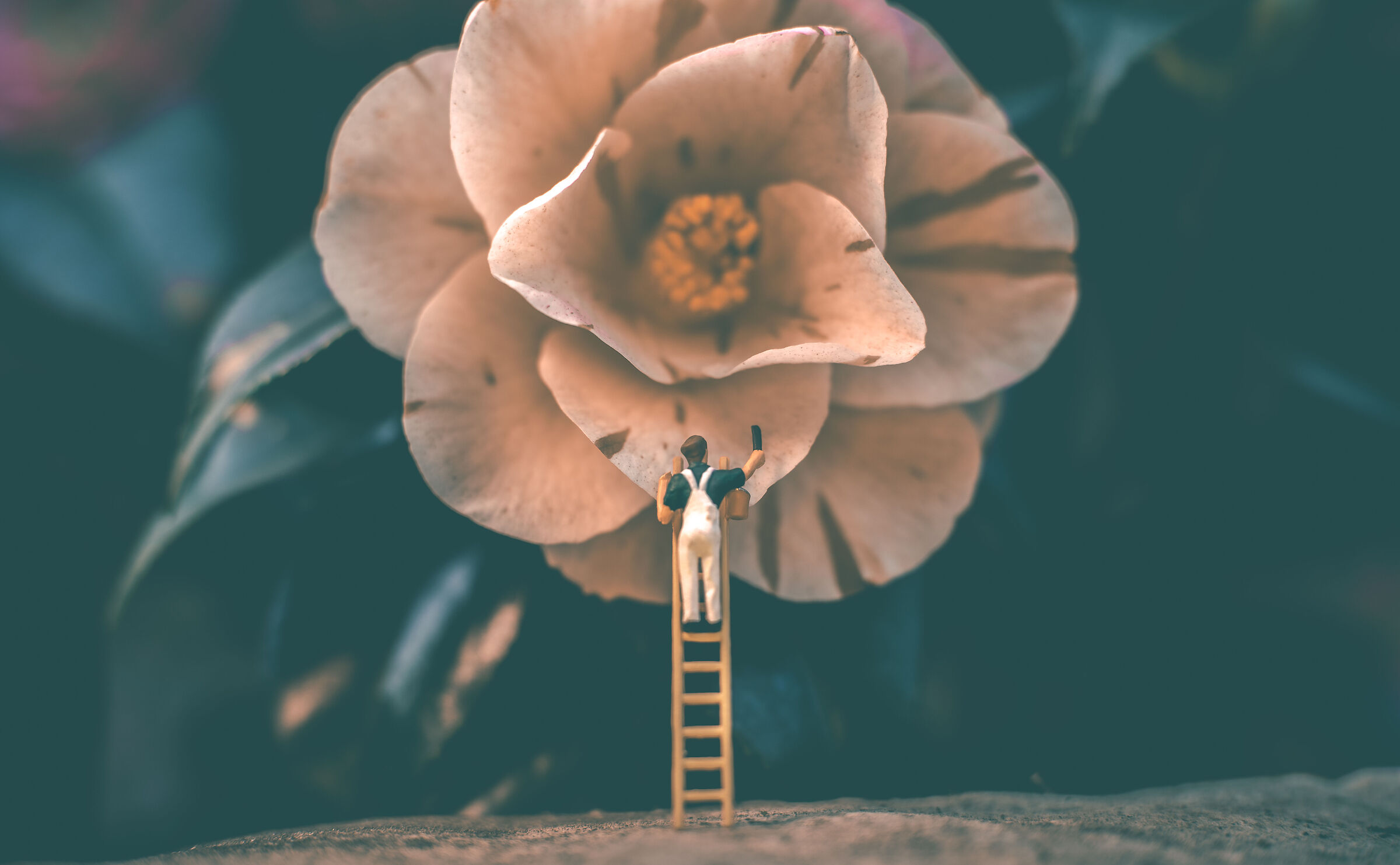 flowers and miniatures