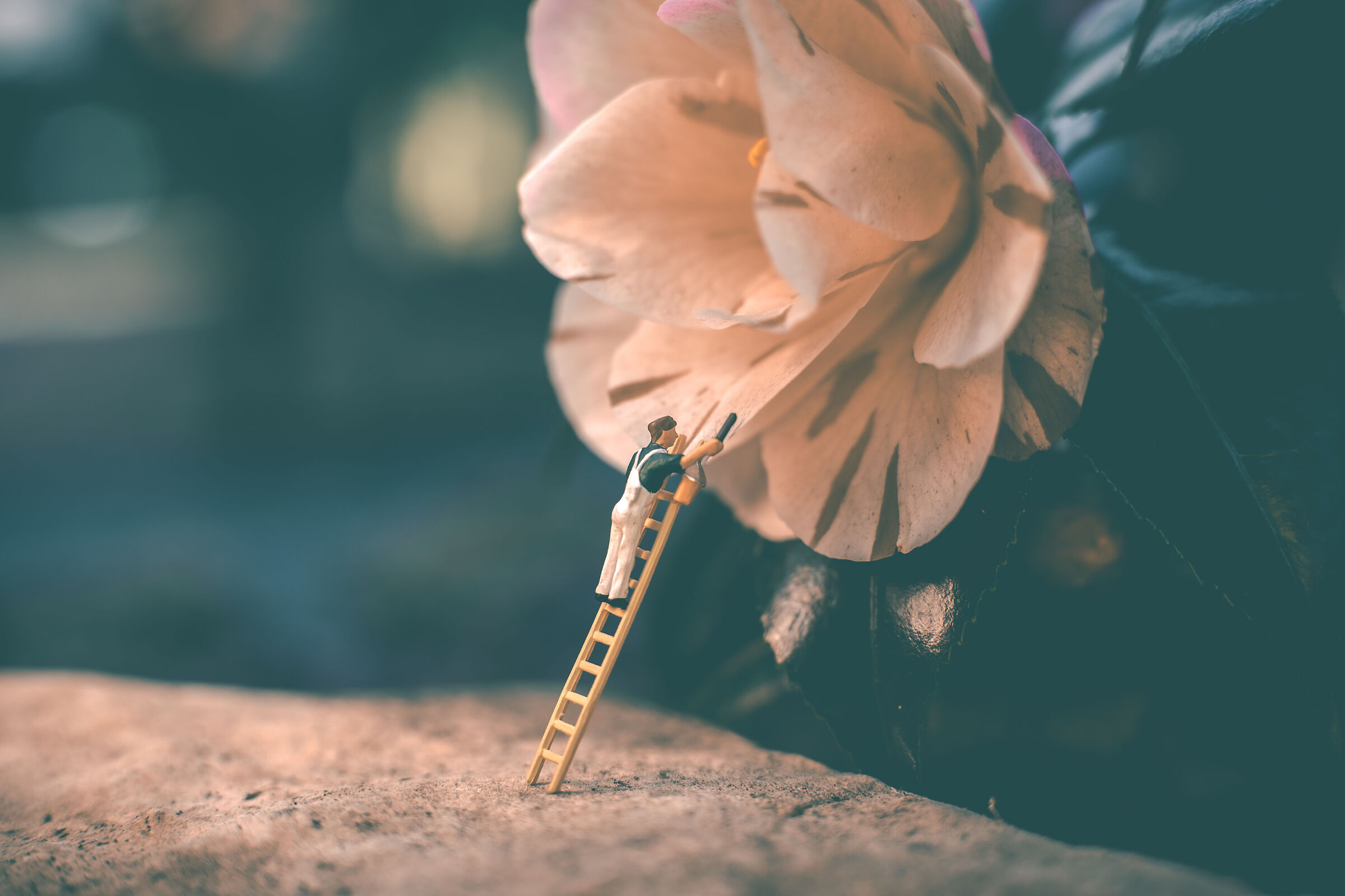flowers and miniatures